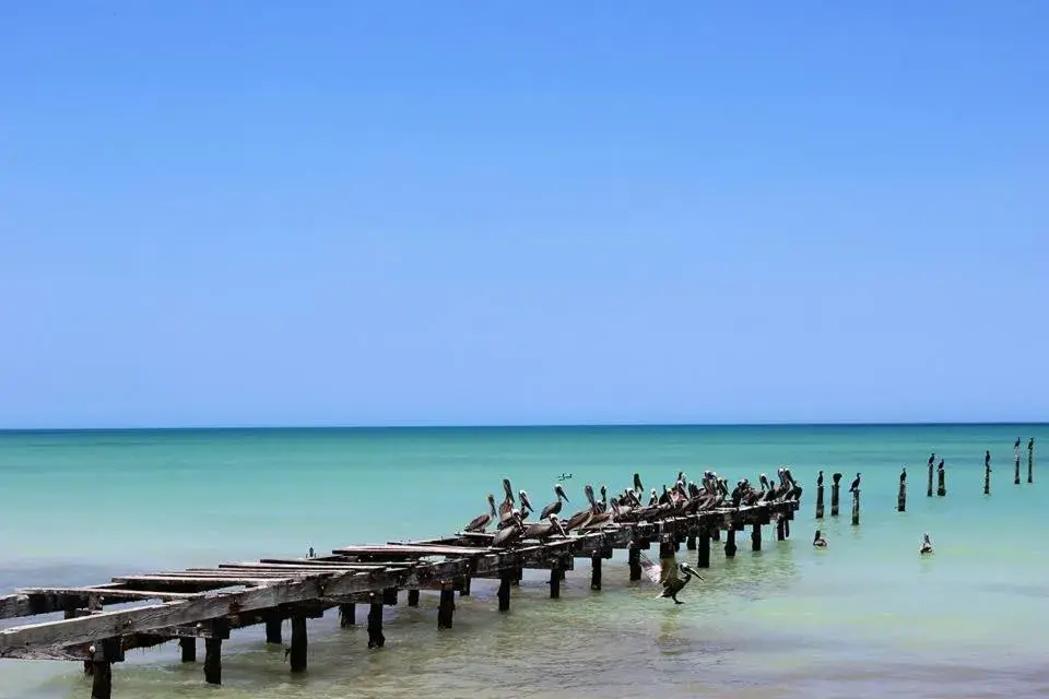 Landmark view in Cabañas El Cuyo Landmark view in Cabañas El Cuyo