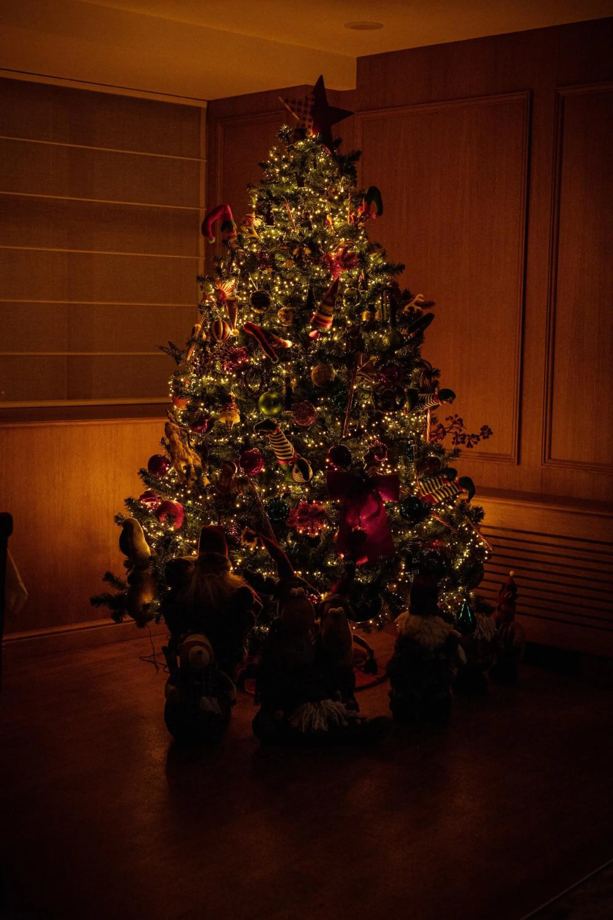 Lobby or reception in Hôtel Le Rapp