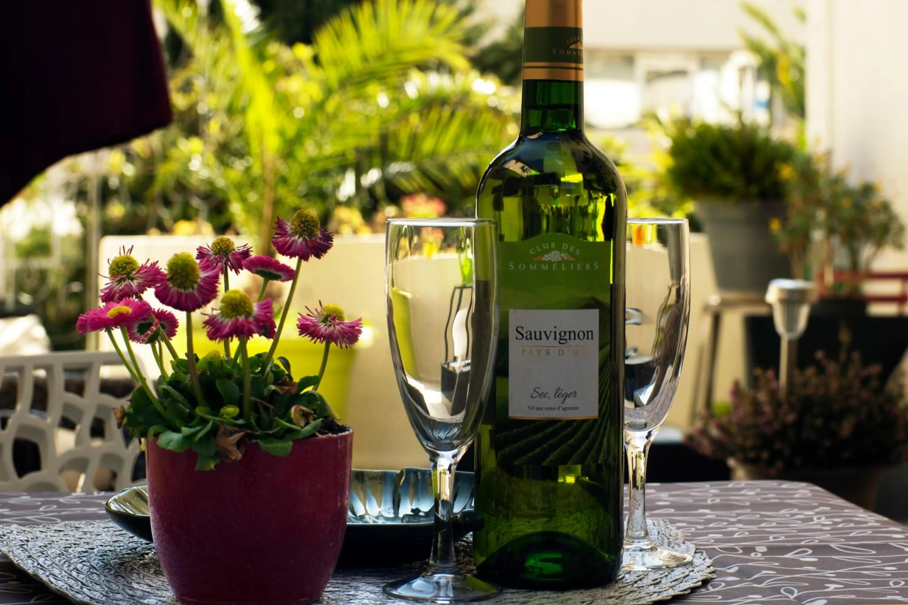 Garden in Hôtel Bellevue Cannes