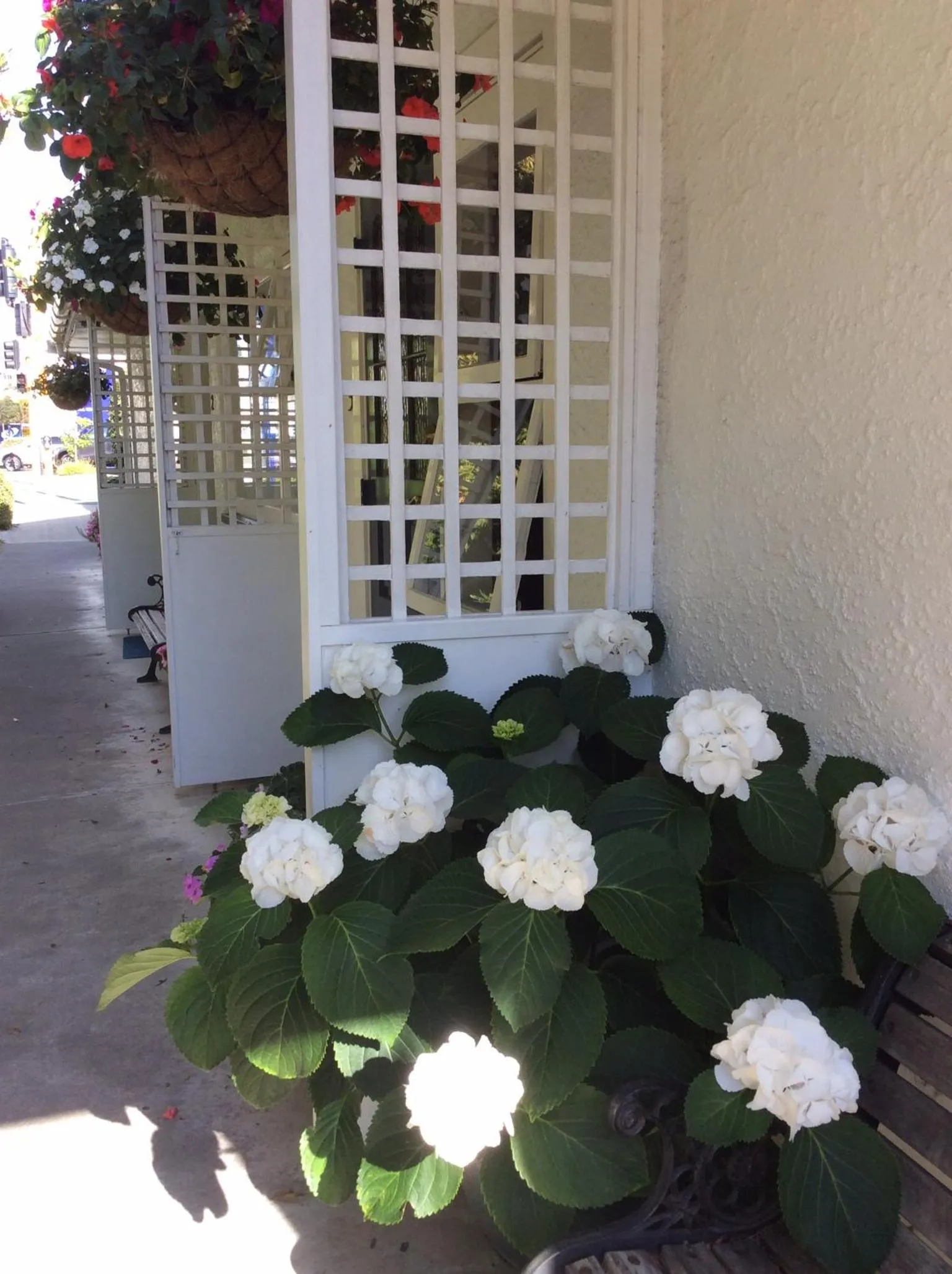 Facade/entrance in Waimarie on Riverside Motel & Apartments