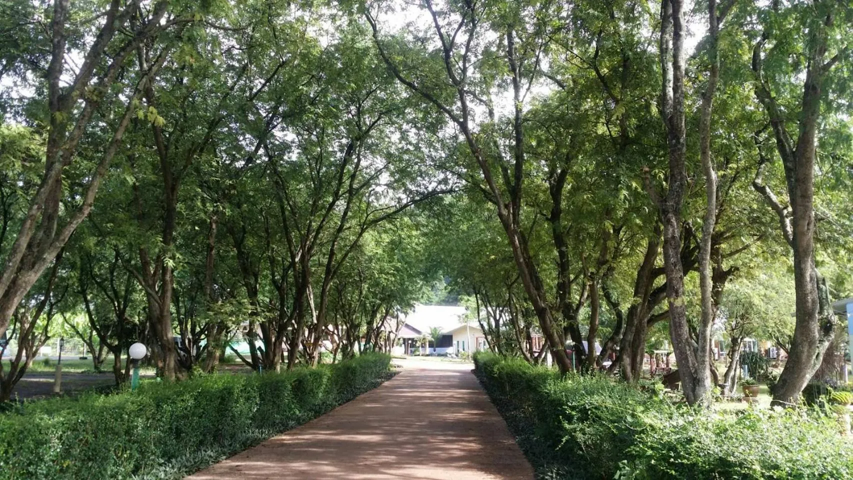 Natural landscape in Goldengold (Khaoyai) Resort & Spa