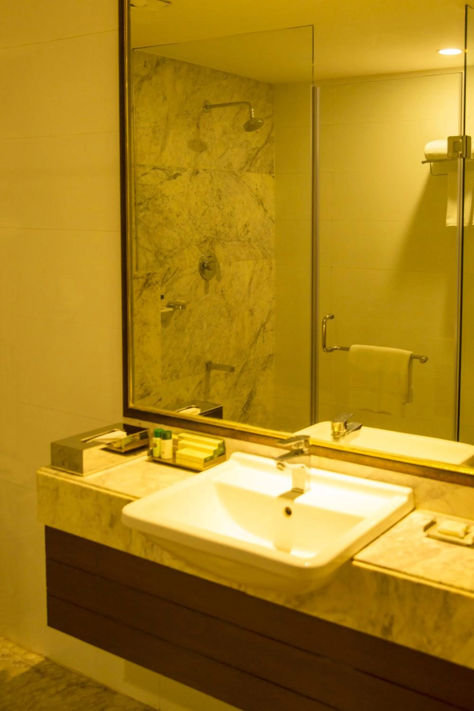 Other in The Fern Hillside Resort Bhimtal