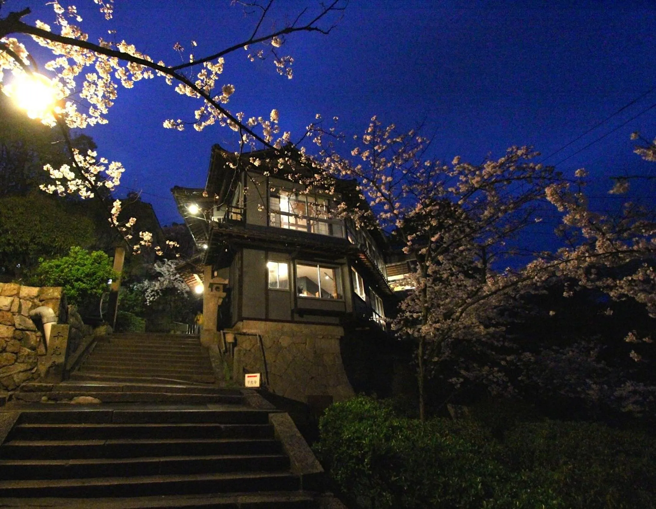 Spring in Onomichi Guest House Miharashi-tei
