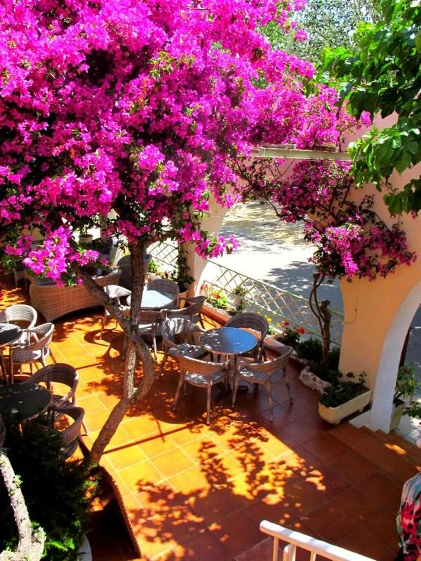 Patio in Hotel de la Plage Santa Vittoria