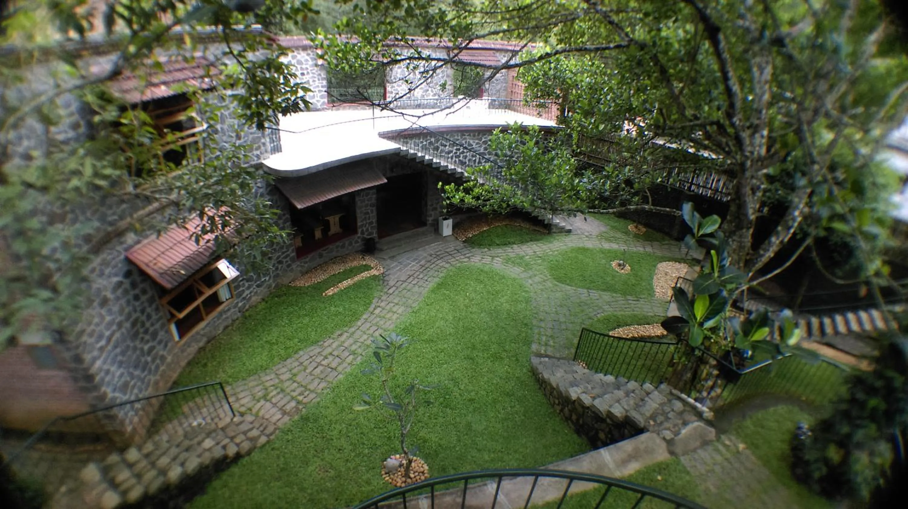 Bird's eye view in Wildernest