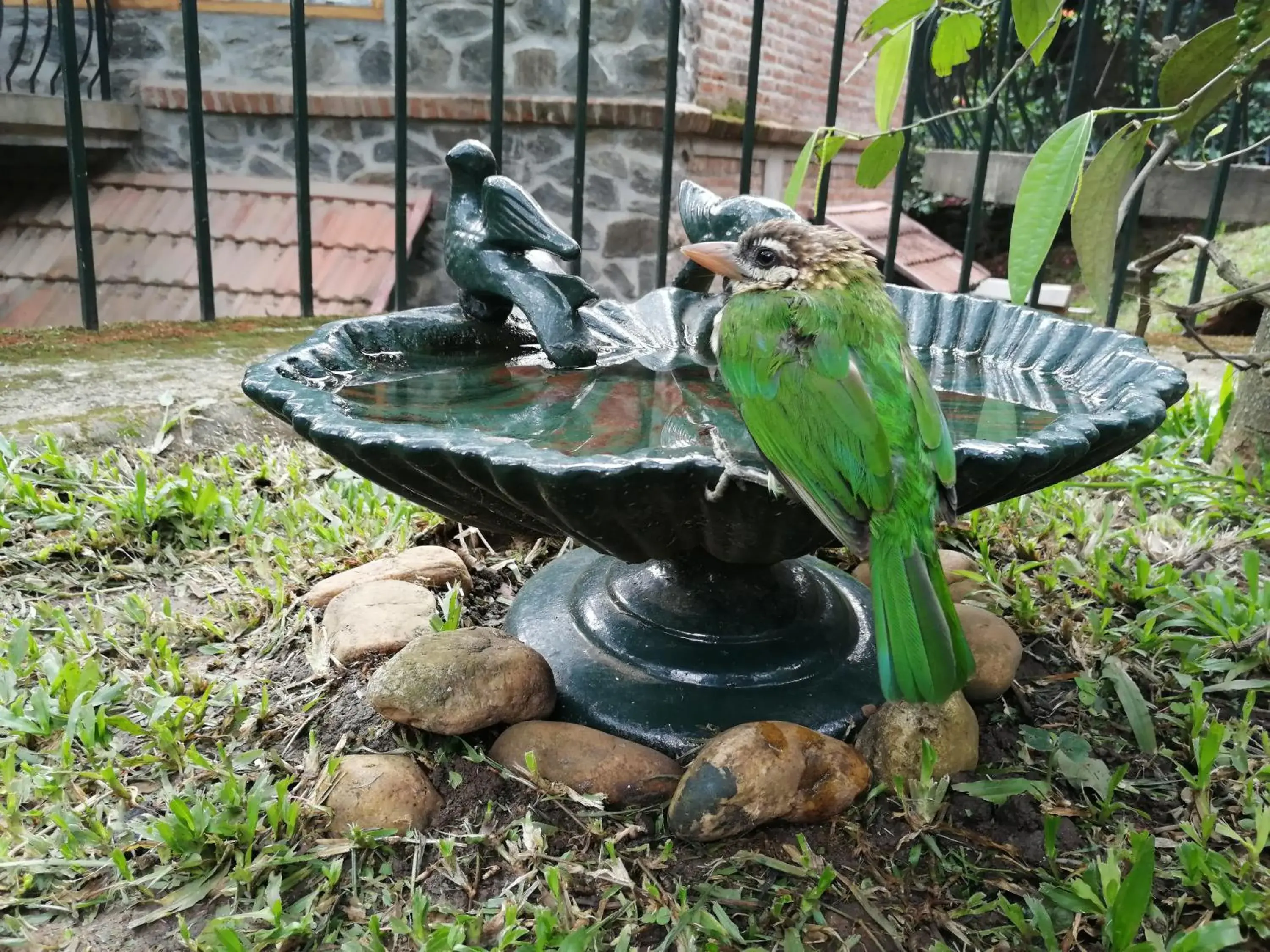 Garden view in Wildernest Garden view in Wildernest