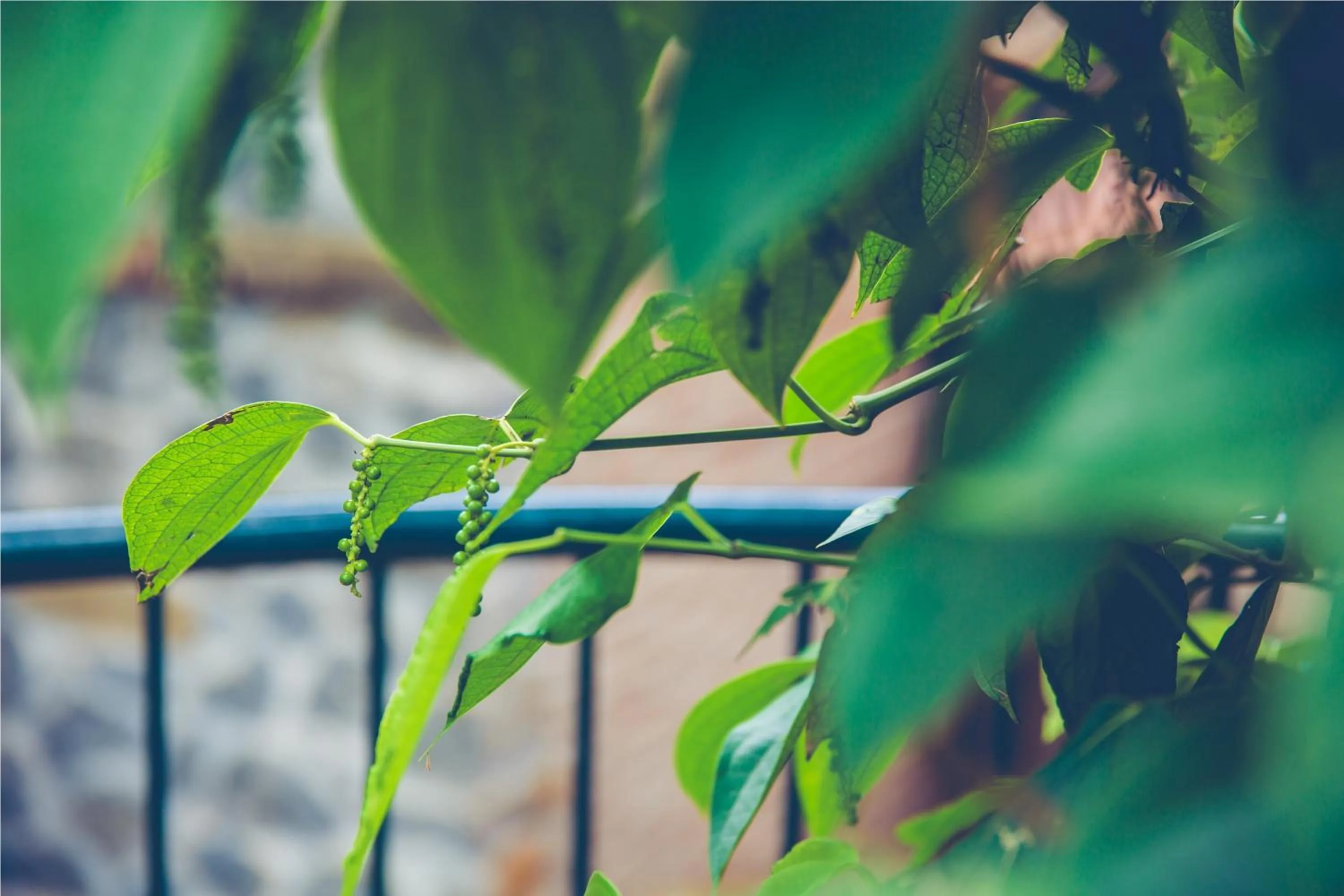 Natural landscape in Wildernest