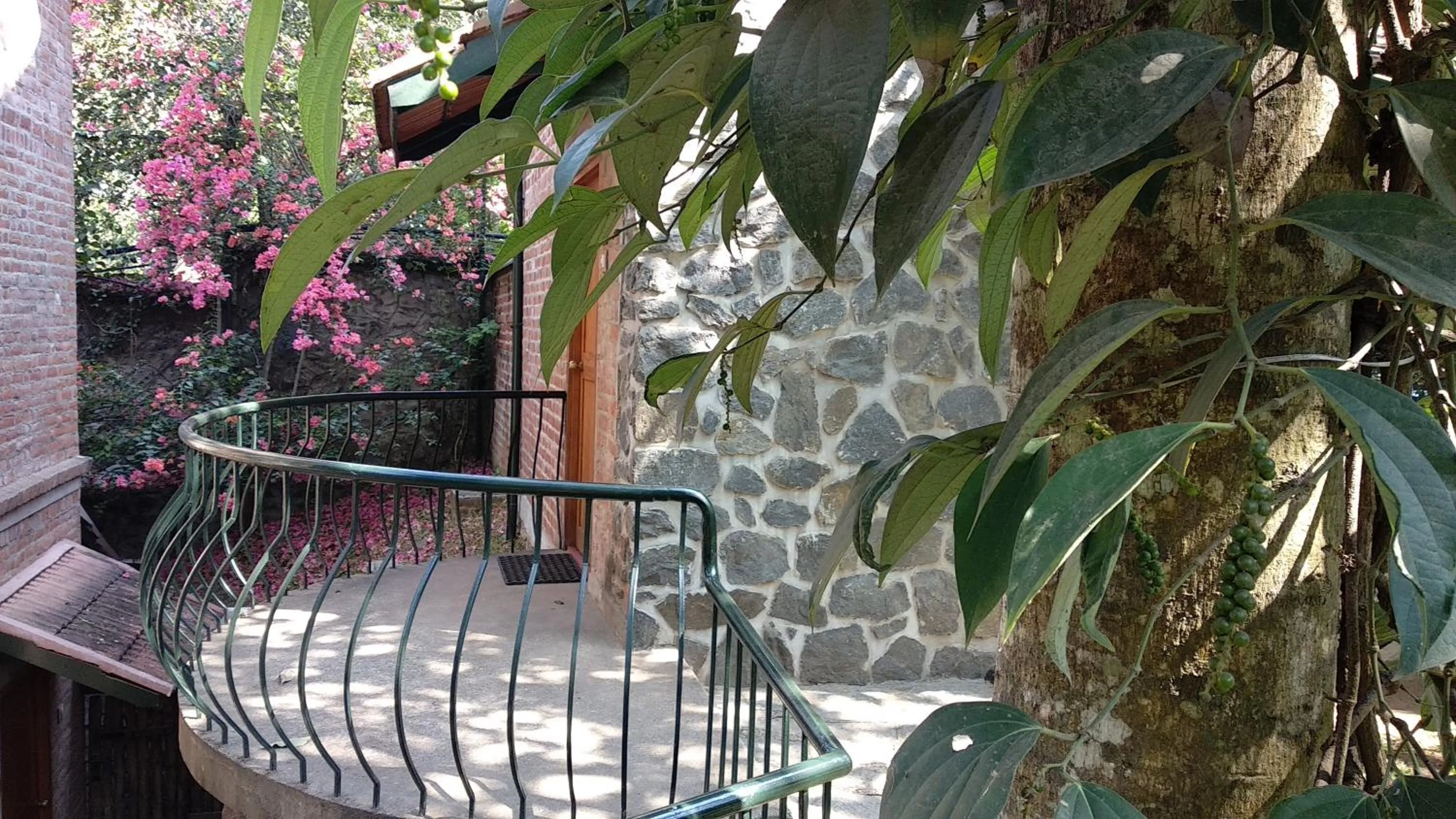 Property building in Wildernest