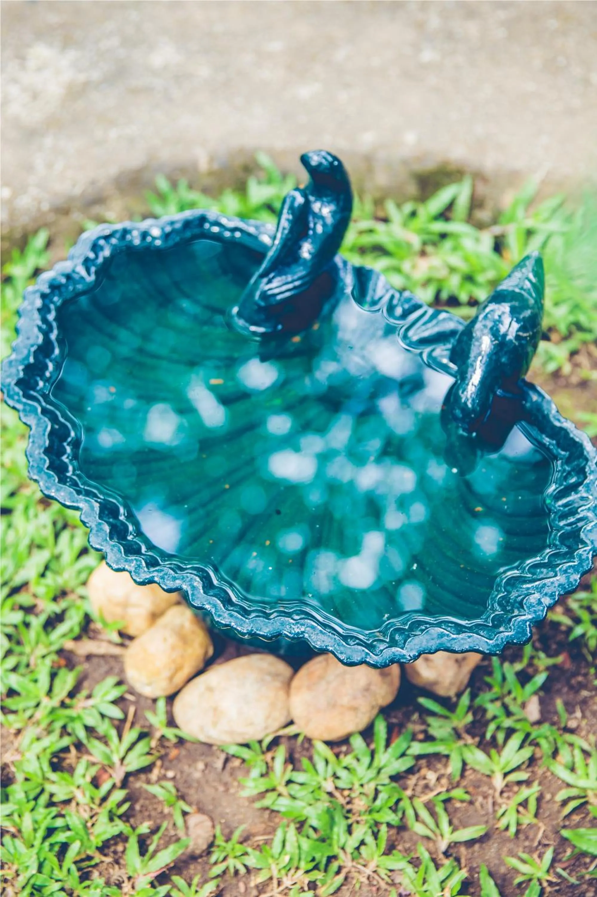 On site in Wildernest