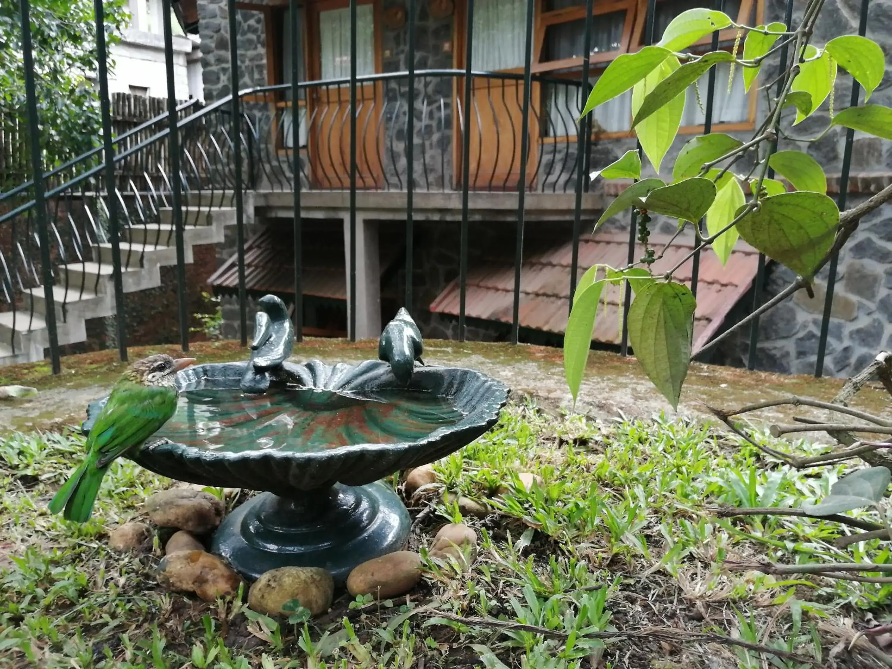 Garden view in Wildernest Garden view in Wildernest