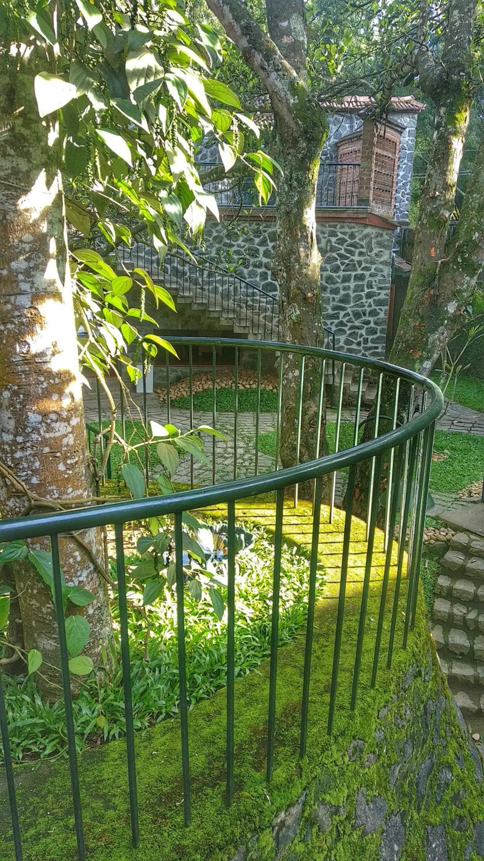 Garden view in Wildernest Garden view in Wildernest