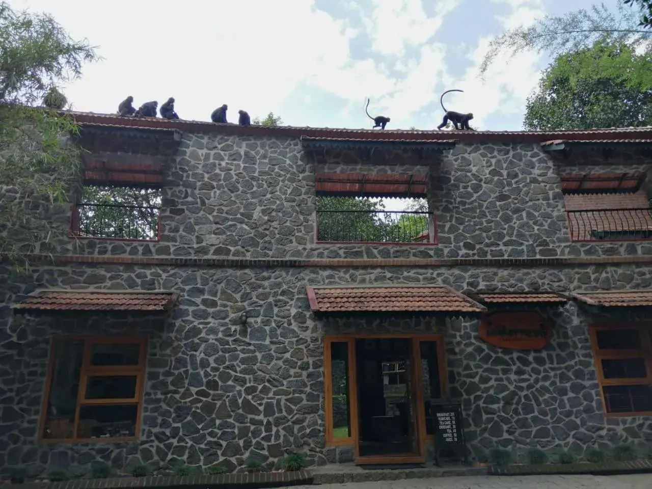 Facade/entrance in Wildernest Facade/entrance in Wildernest