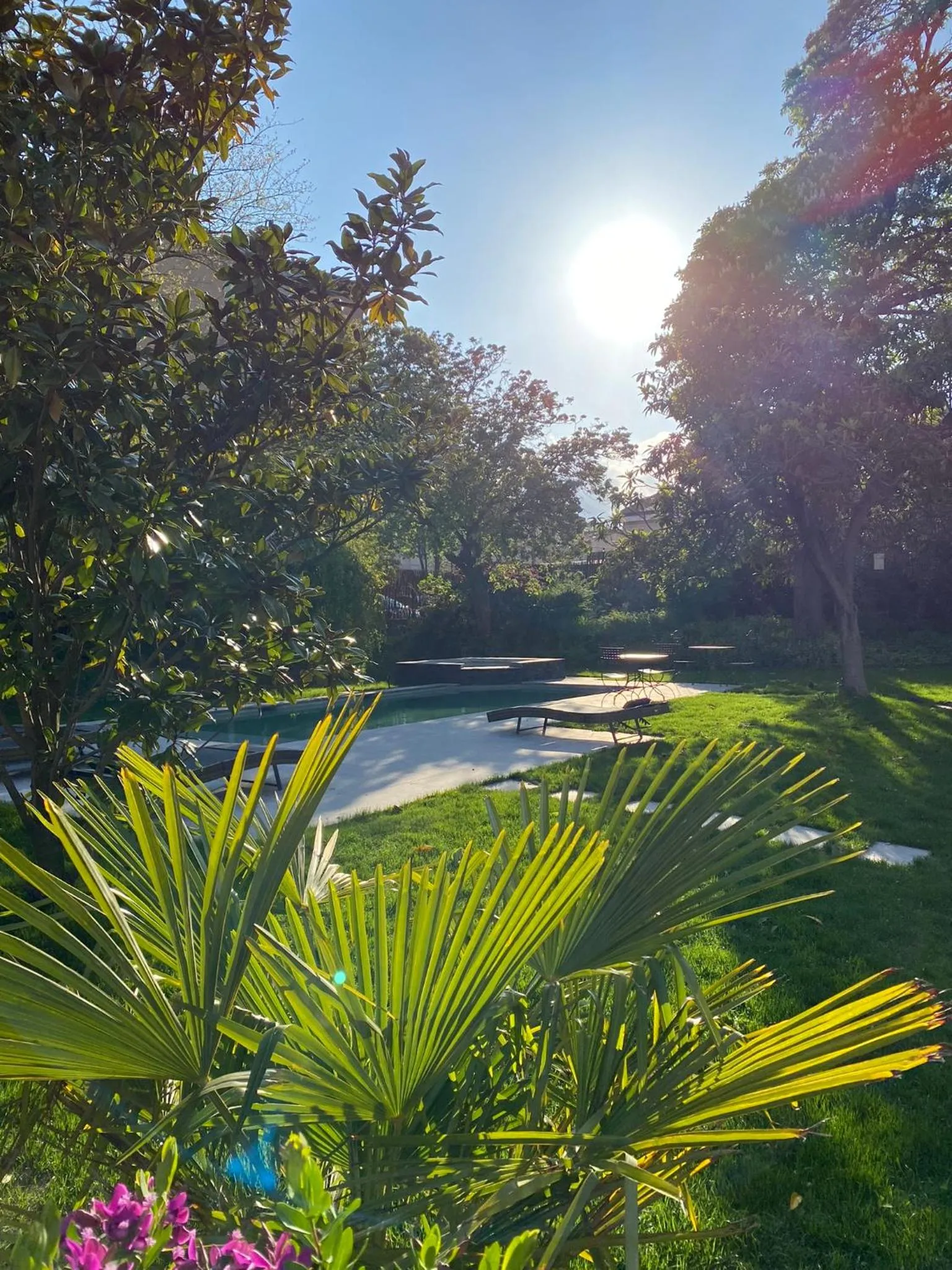 Garden in Demeure Saint Louis Historic manor, City 700m, free parking,A C,Clim,WIFI, city view, Garden