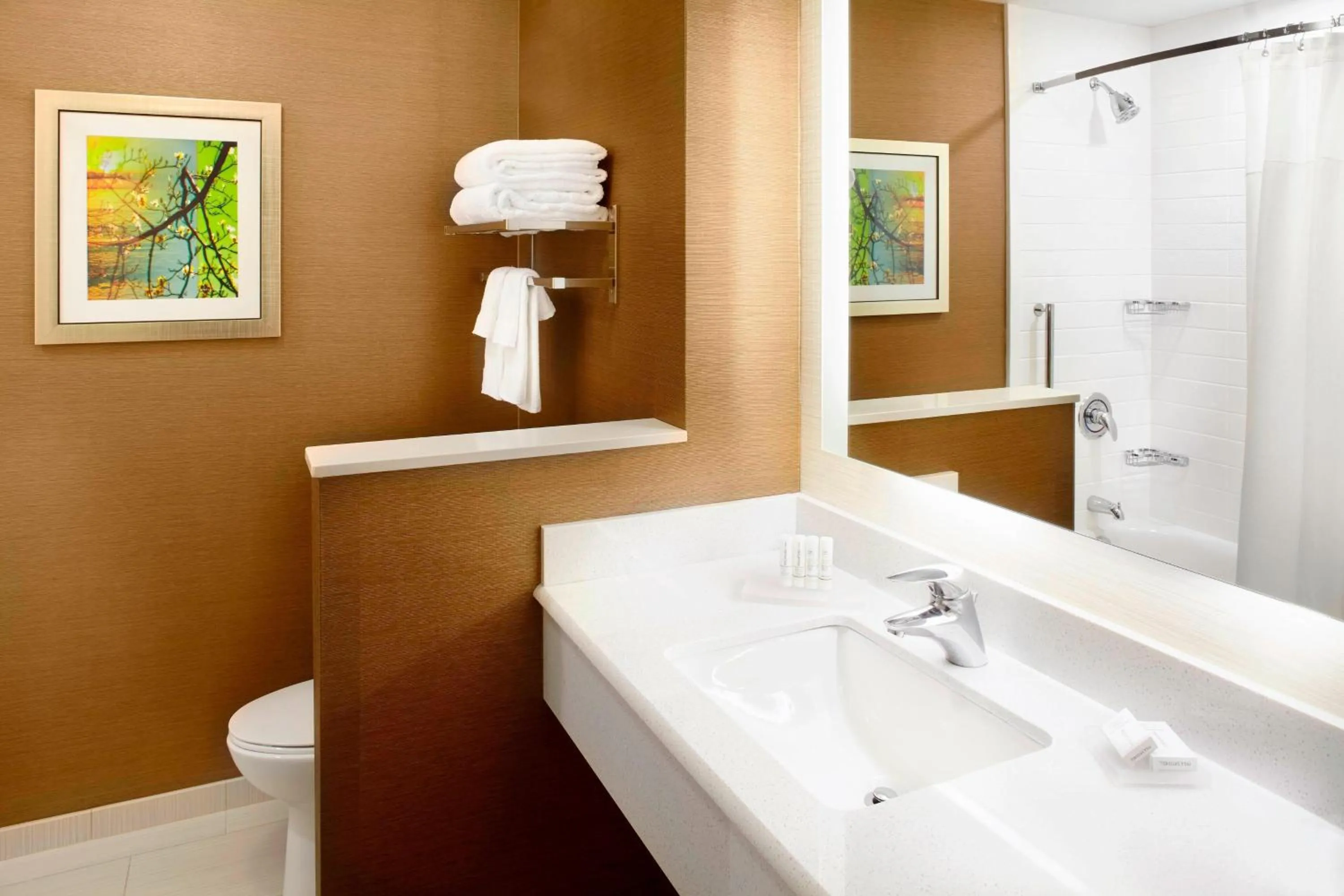 Bathroom in Fairfield by Marriott Inn & Suites Wheeling at The Highlands