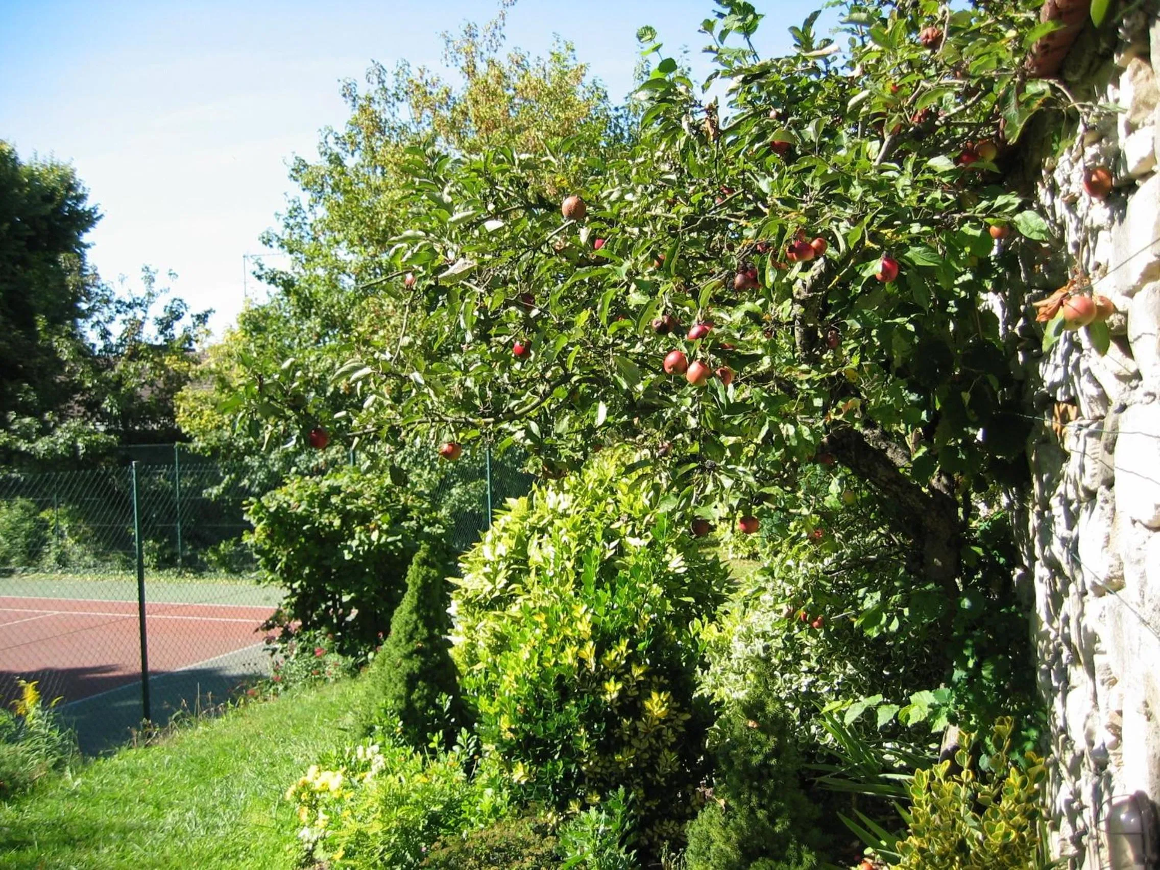 Garden in Hôtel & Restaurant Le Relais d'Aumale