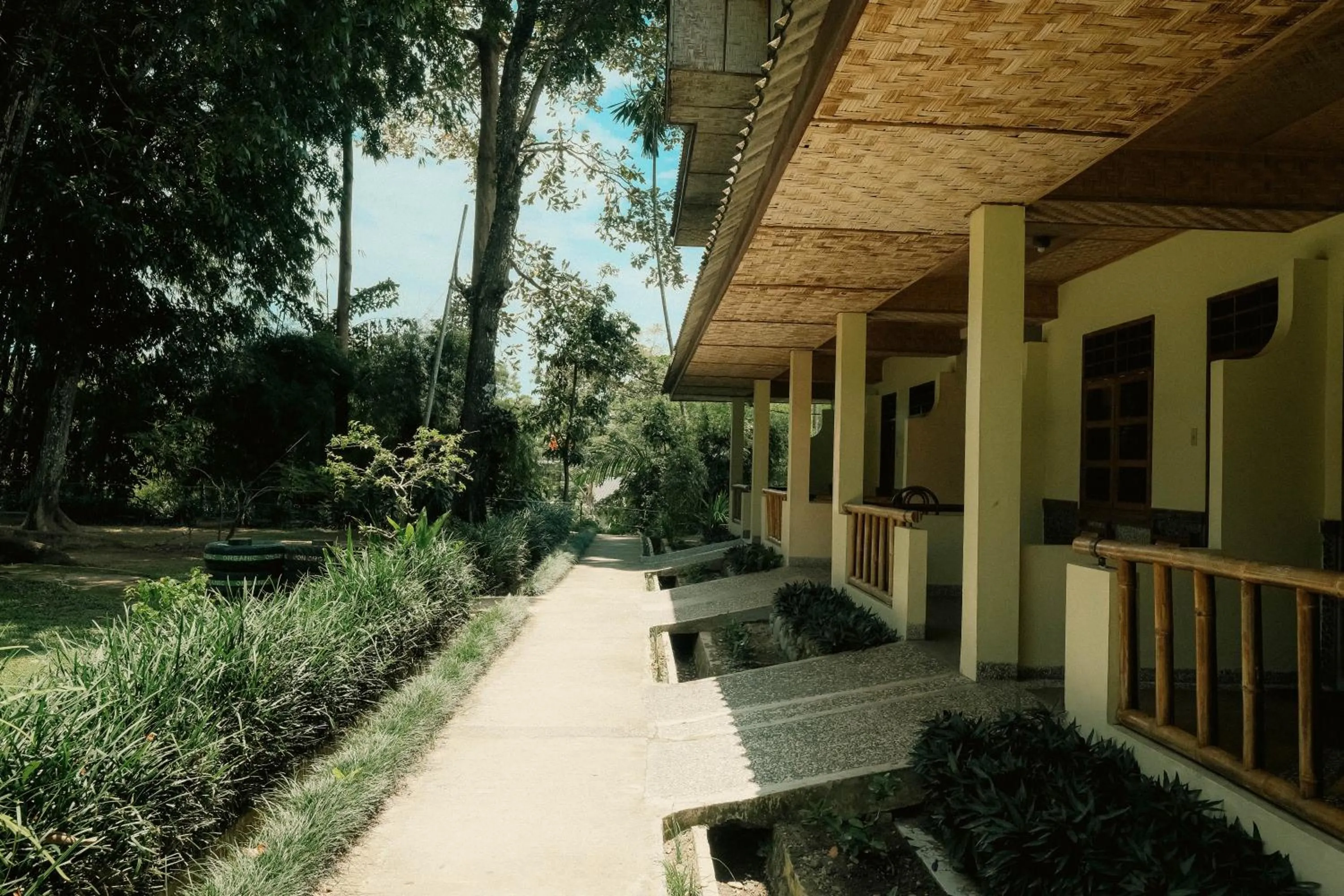 Ecolodge Bukit Lawang