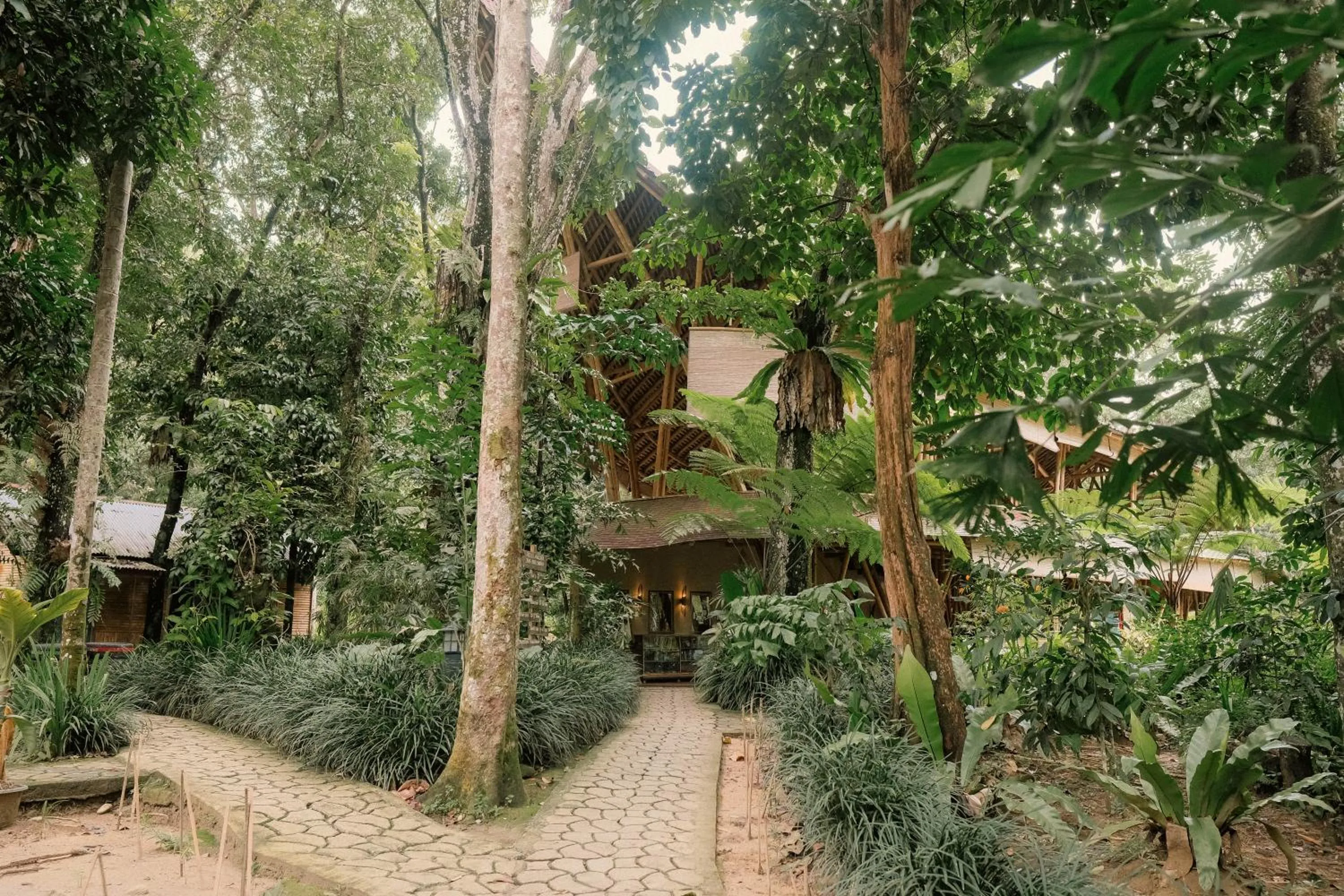 Ecolodge Bukit Lawang