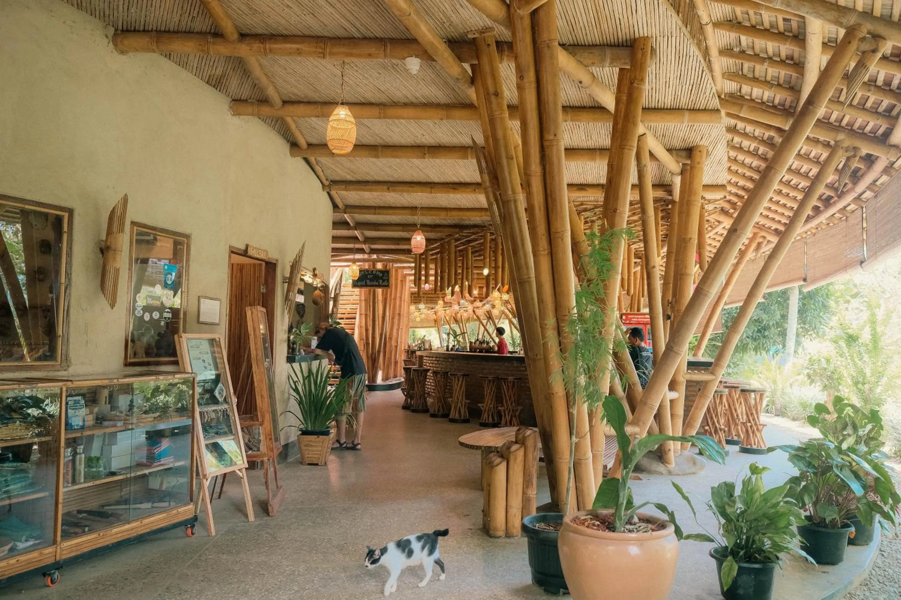 Ecolodge Bukit Lawang