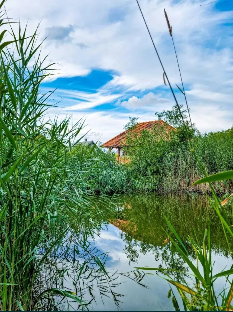 Agroturystyka Pod Podkową Agroturystyka Pod Podkową