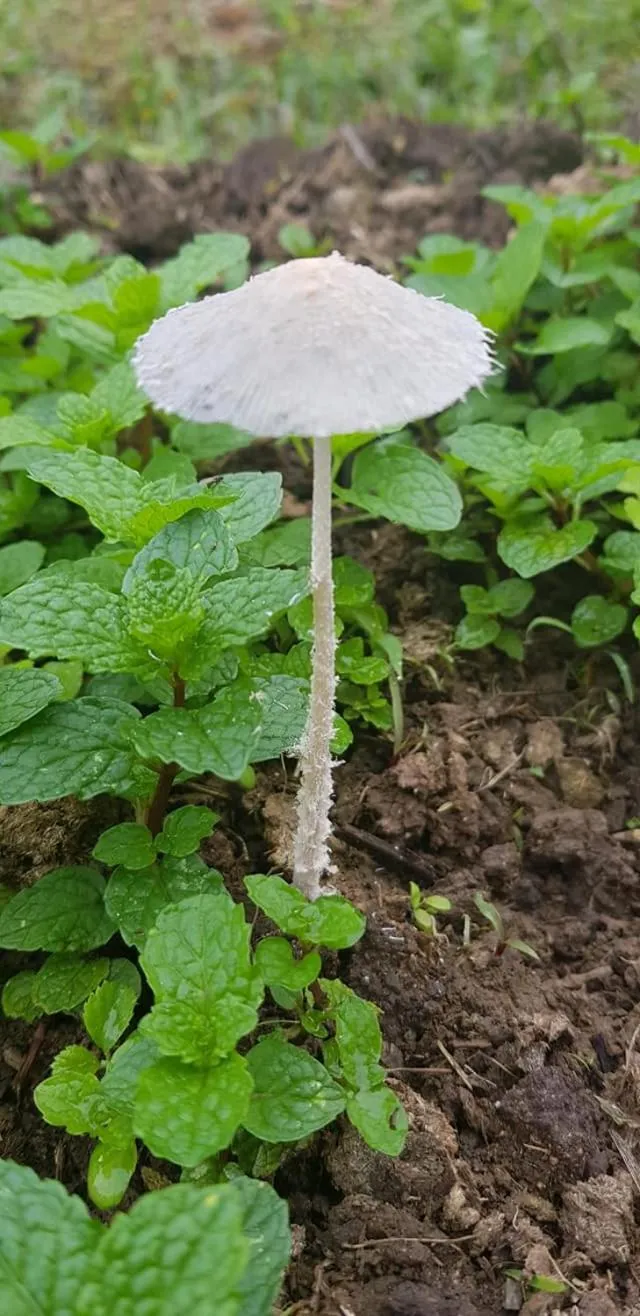 Natural landscape in Namkat Yorla Pa Resort