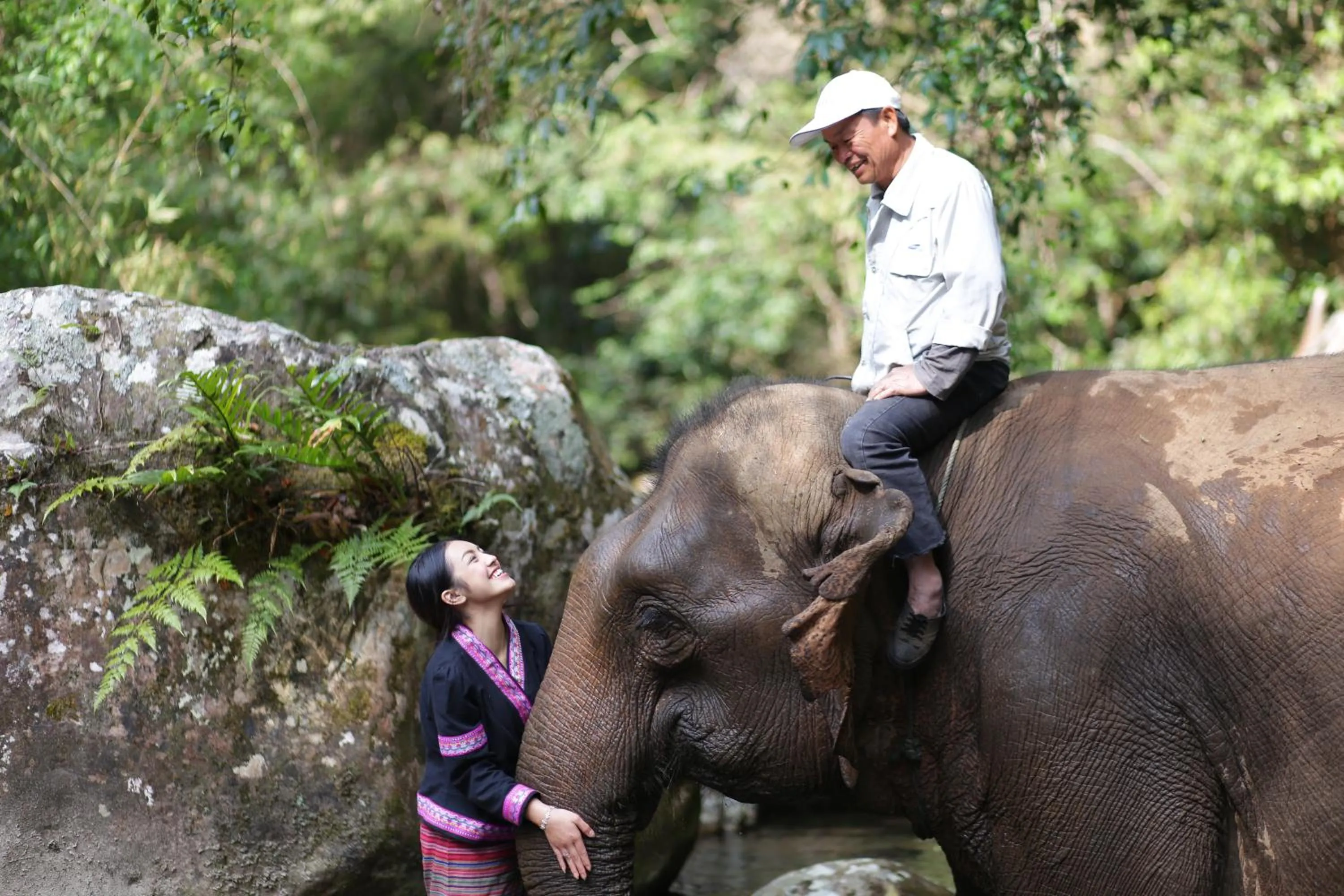Pets in Namkat Yorla Pa Resort