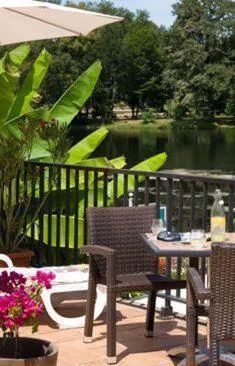 Balcony/Terrace in Logis hotel les flots bleus