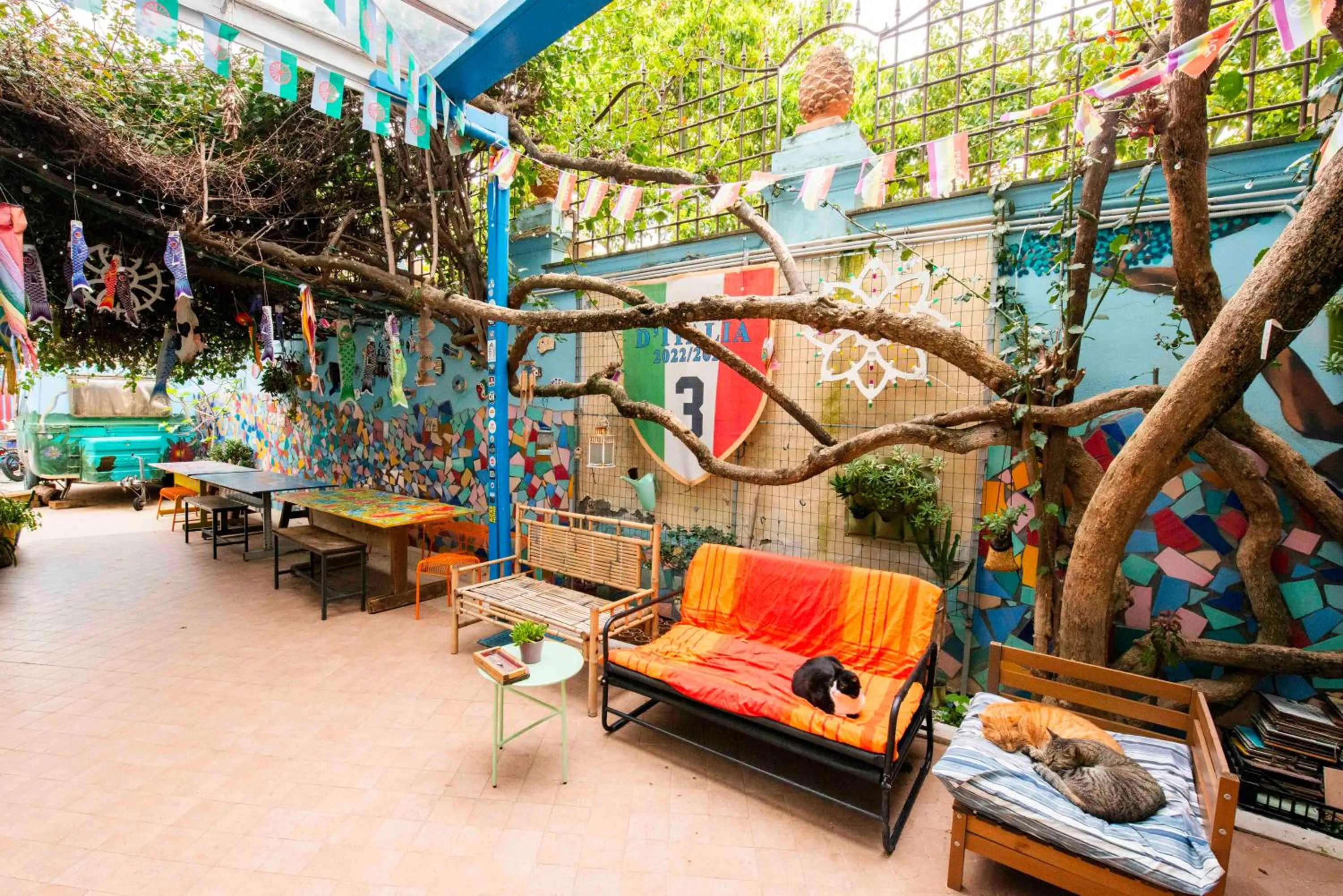 Patio in Eco hostel floreale