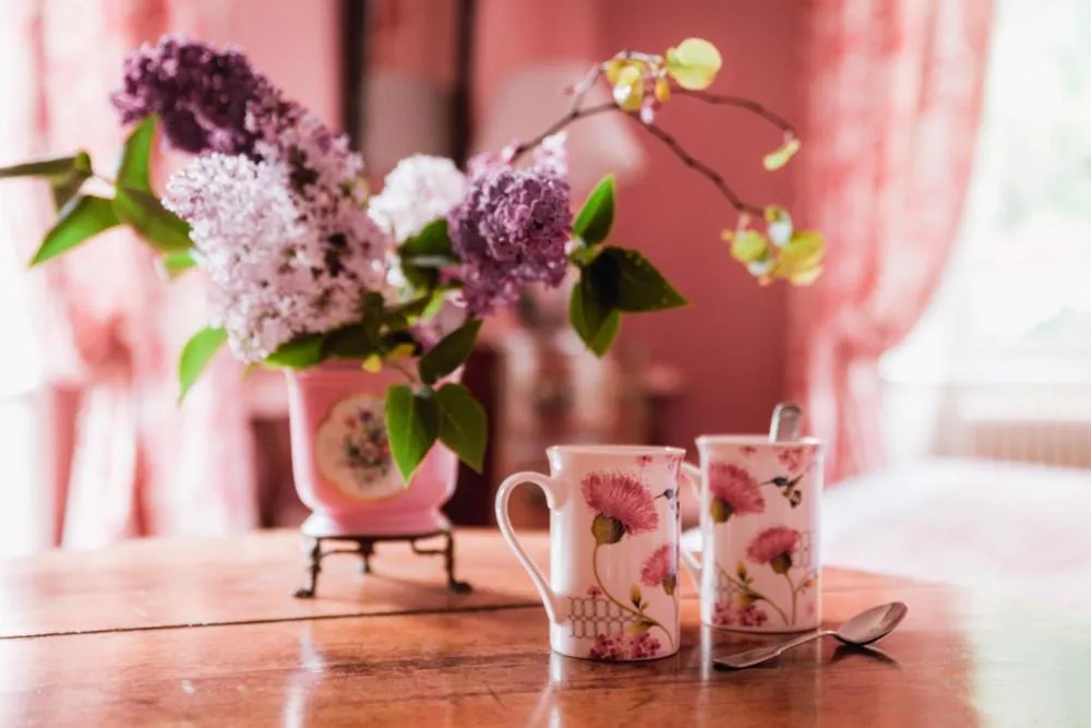 Château du Plessis - Anjou