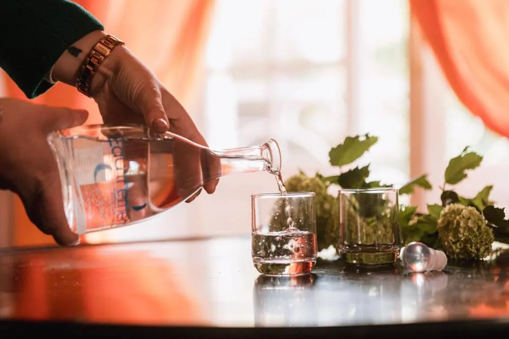 Château du Plessis - Anjou