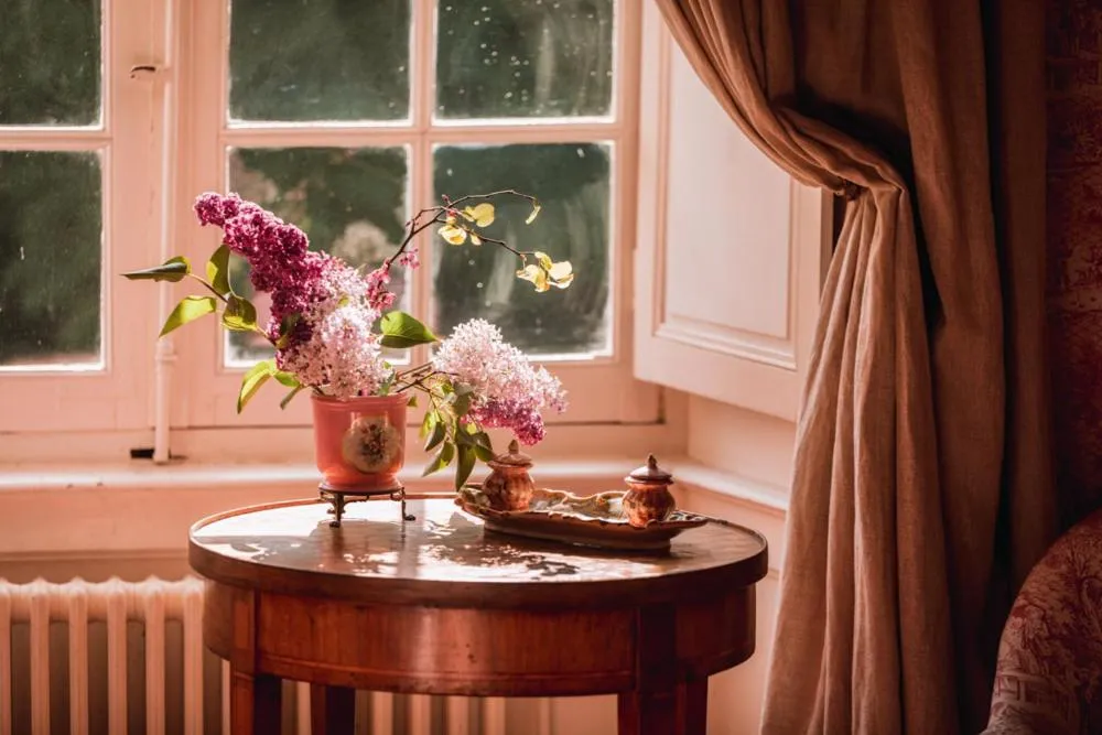 Château du Plessis - Anjou