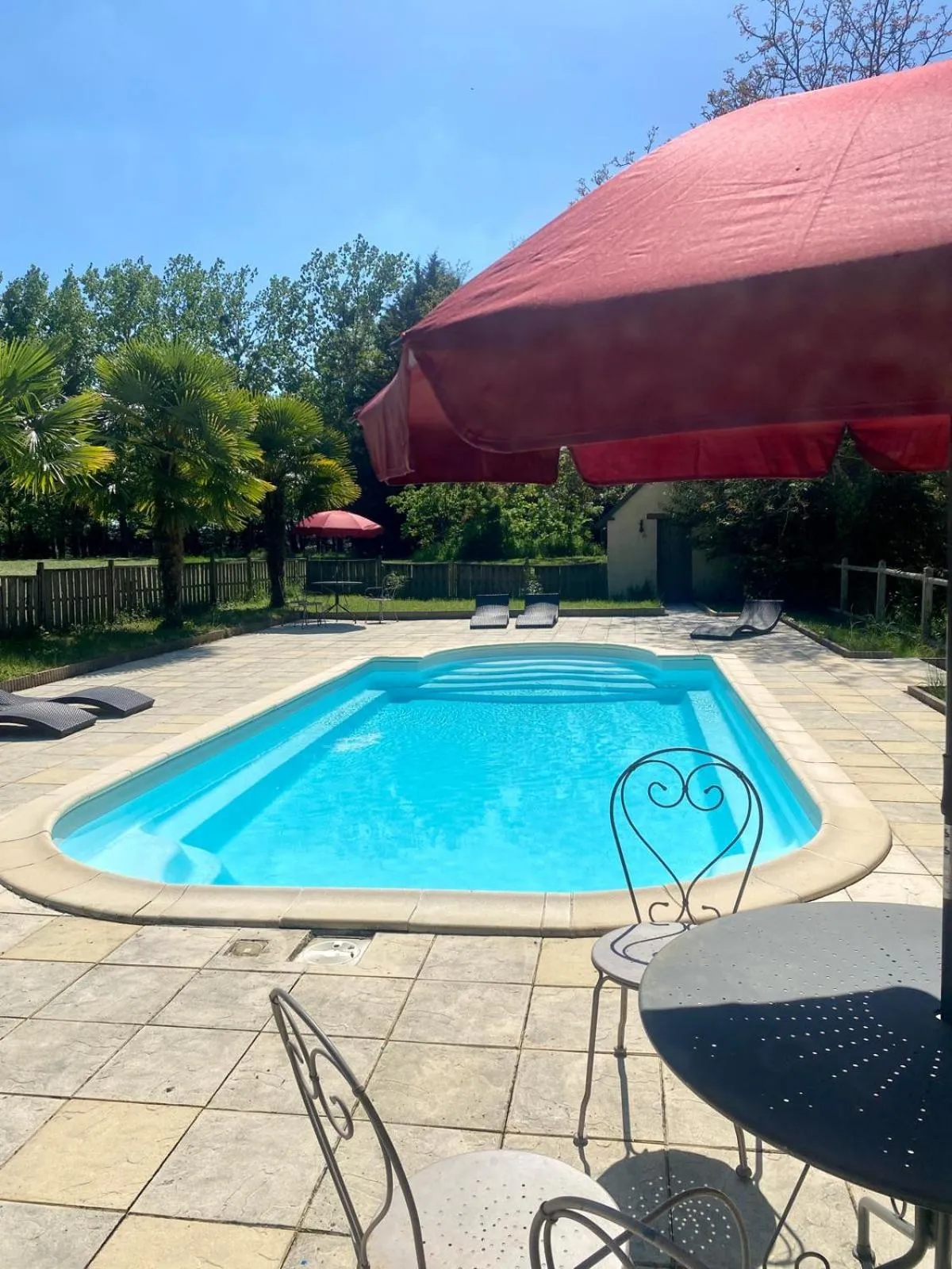 Swimming pool in Château De La Coutancière