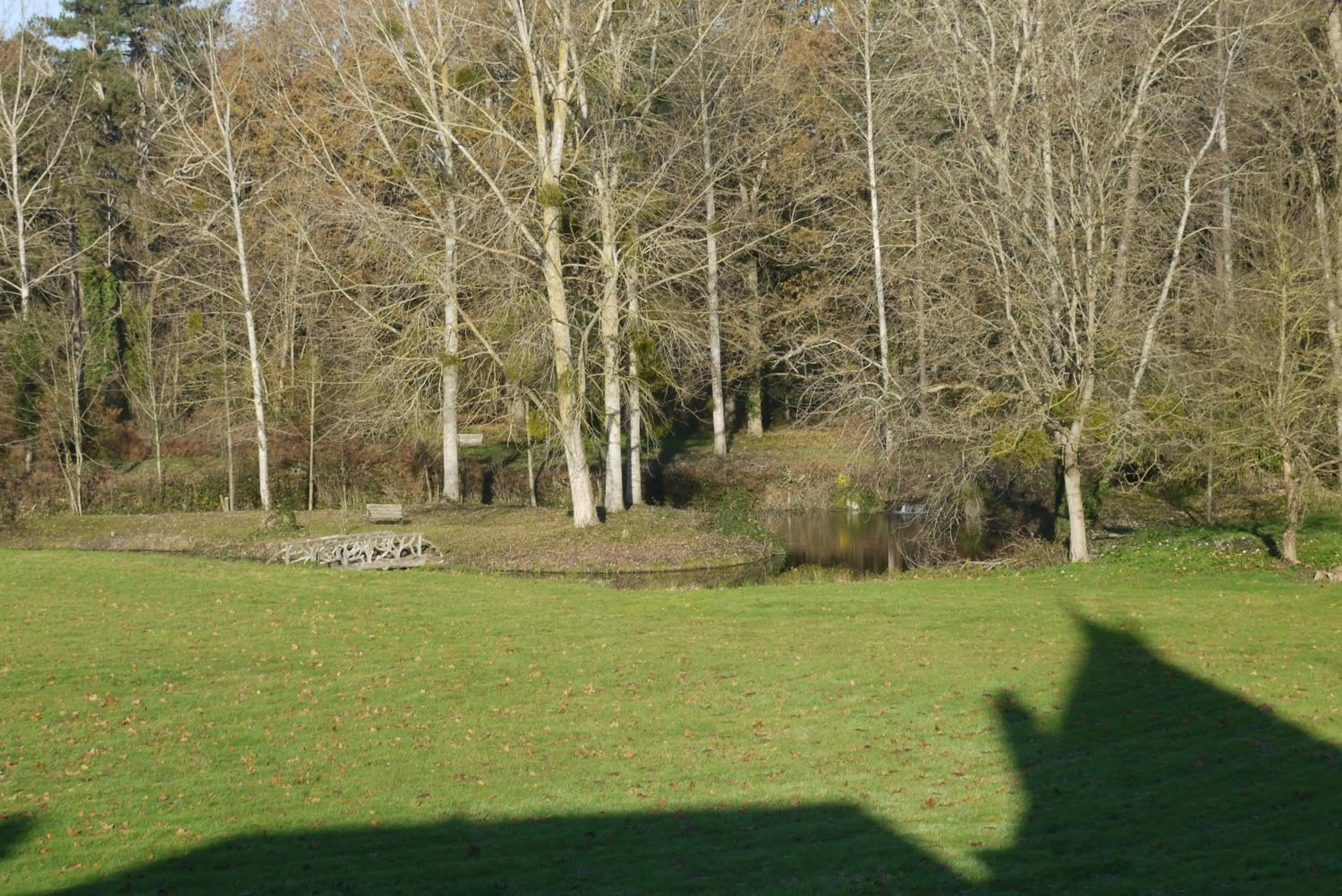 Natural landscape in Château De La Coutancière