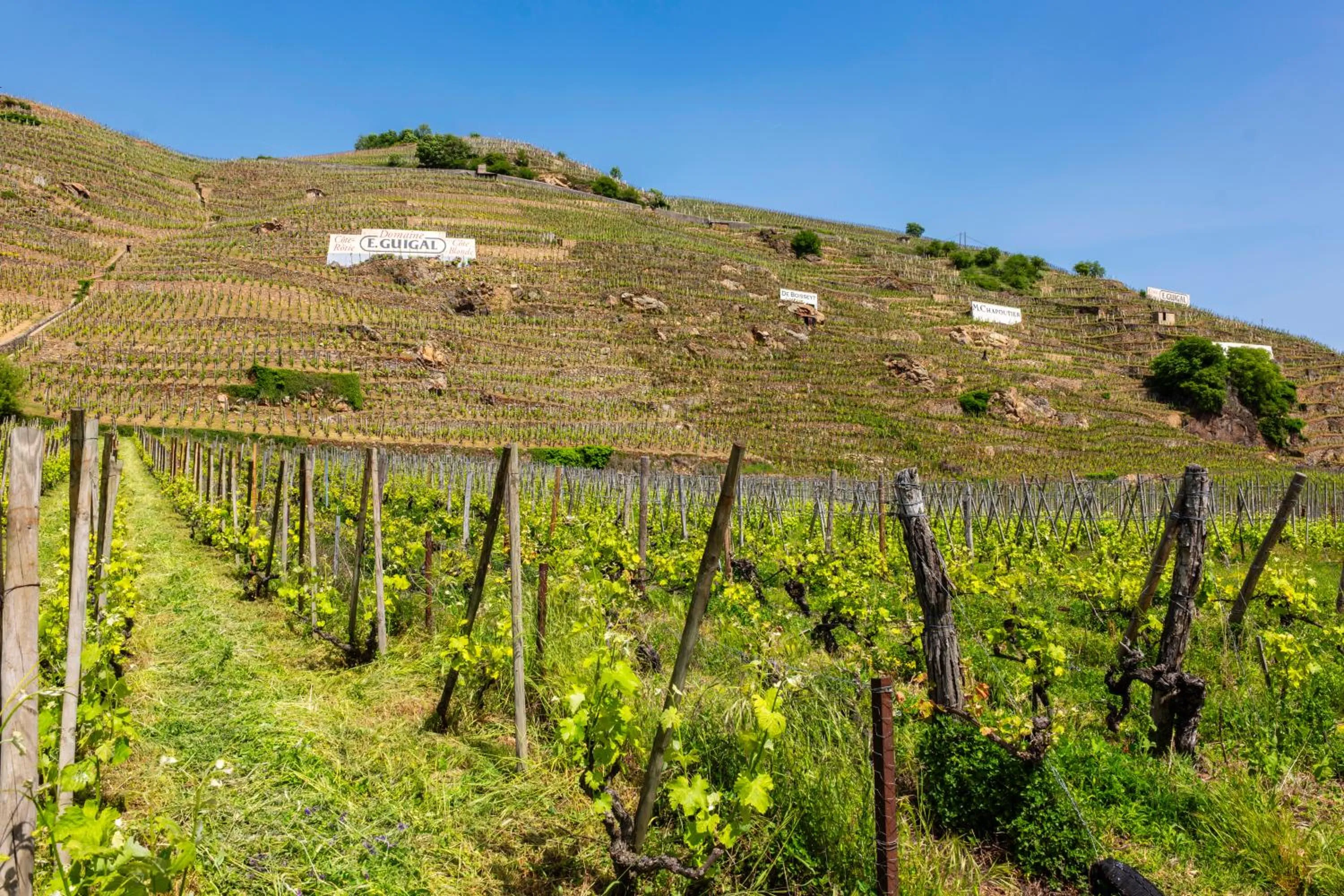 Natural landscape in Hôtel Beau Rivage Condrieu