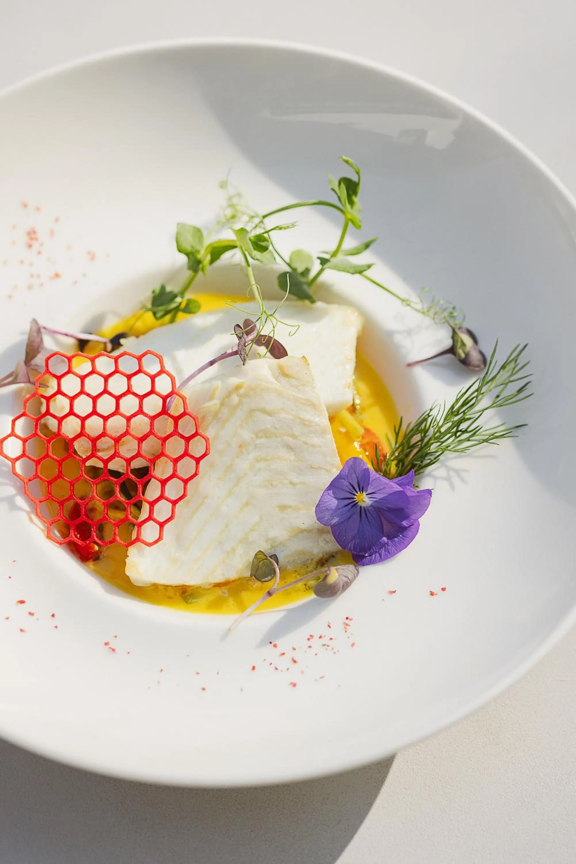 Restaurant/places to eat in Brit Hotel Florimont