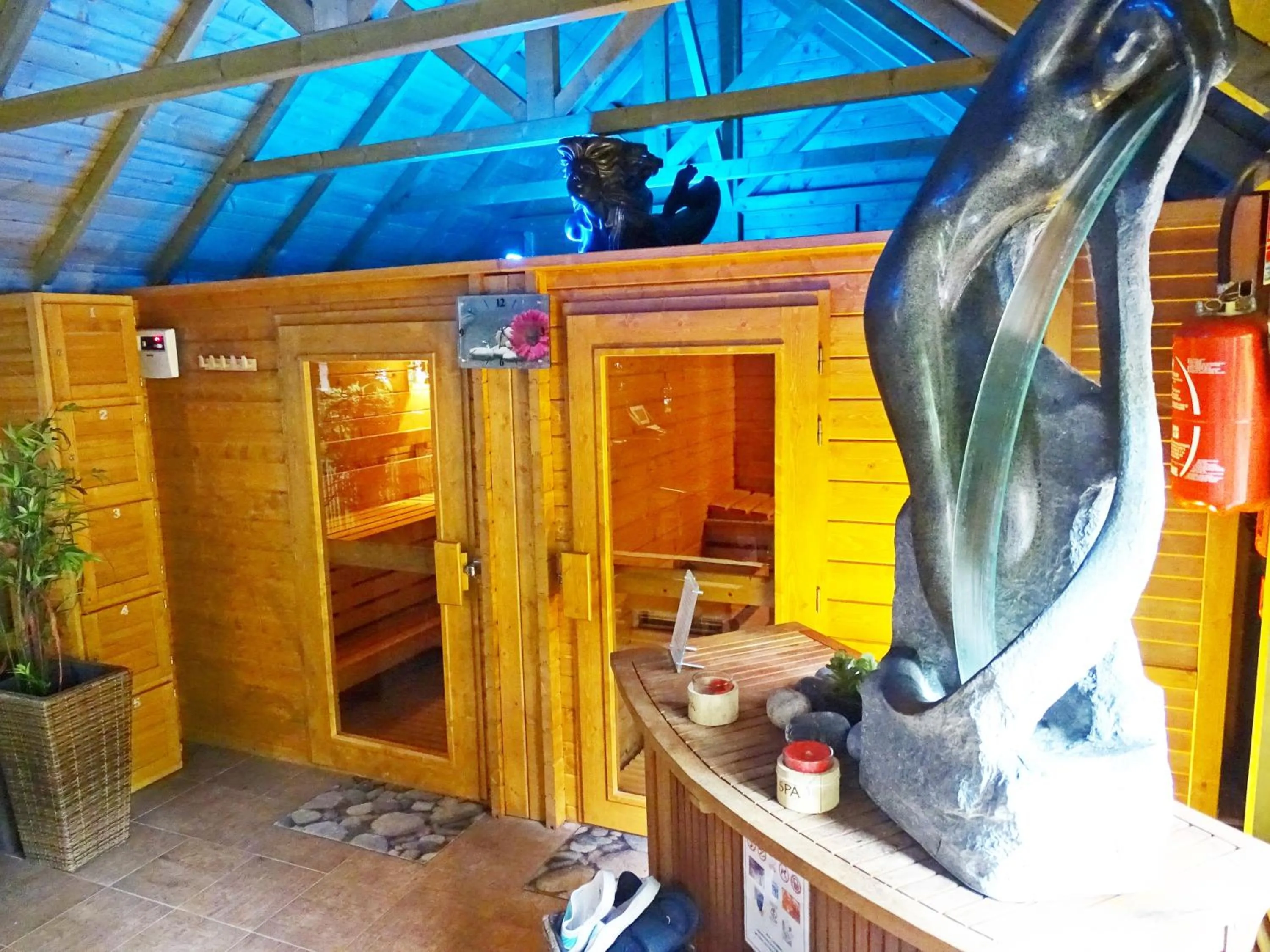 Sauna in Logis Hôtel Restaurant Spa L'auberge Du President