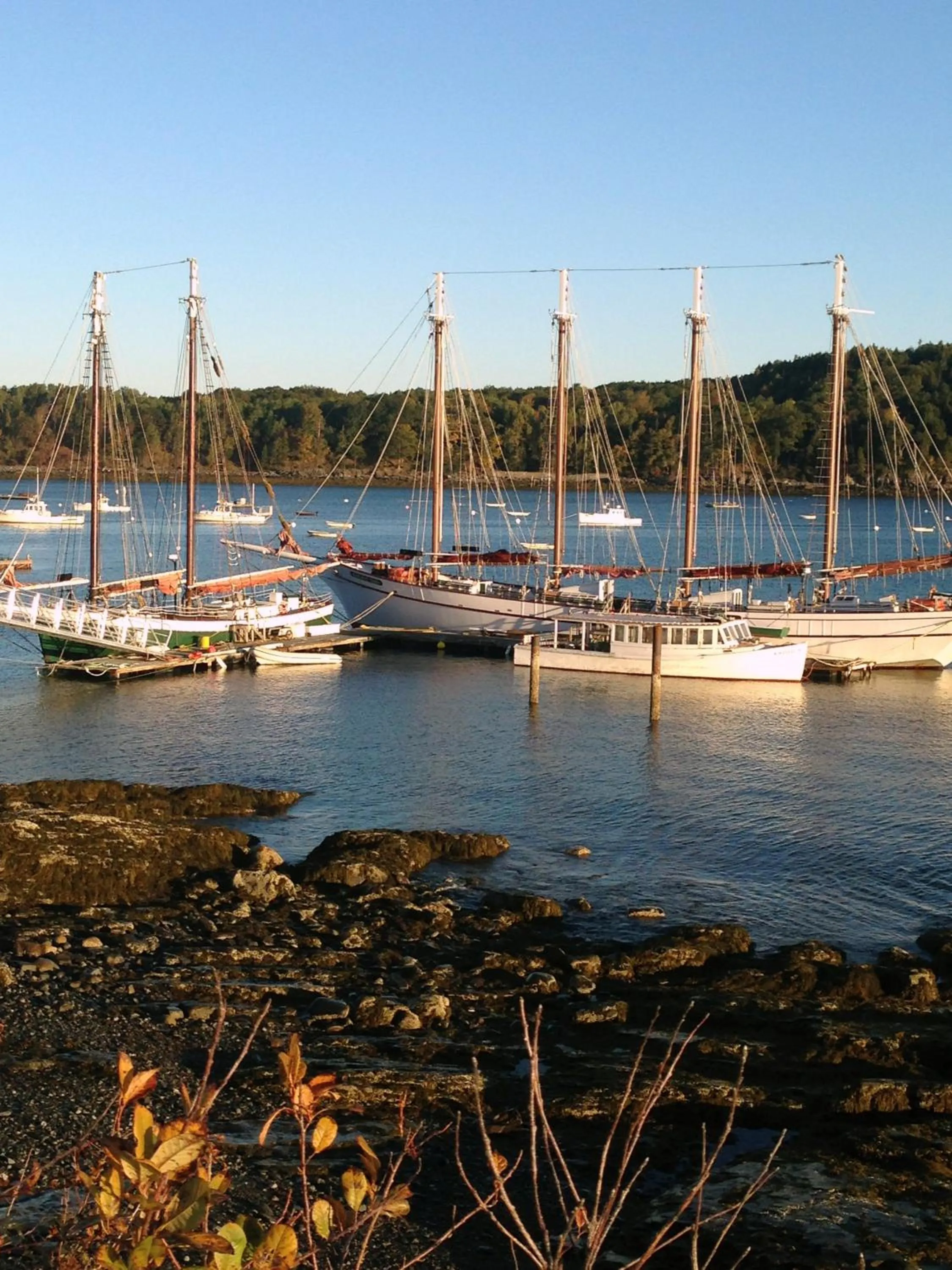 Beach in Moseley Cottage Inn and The Town Motel