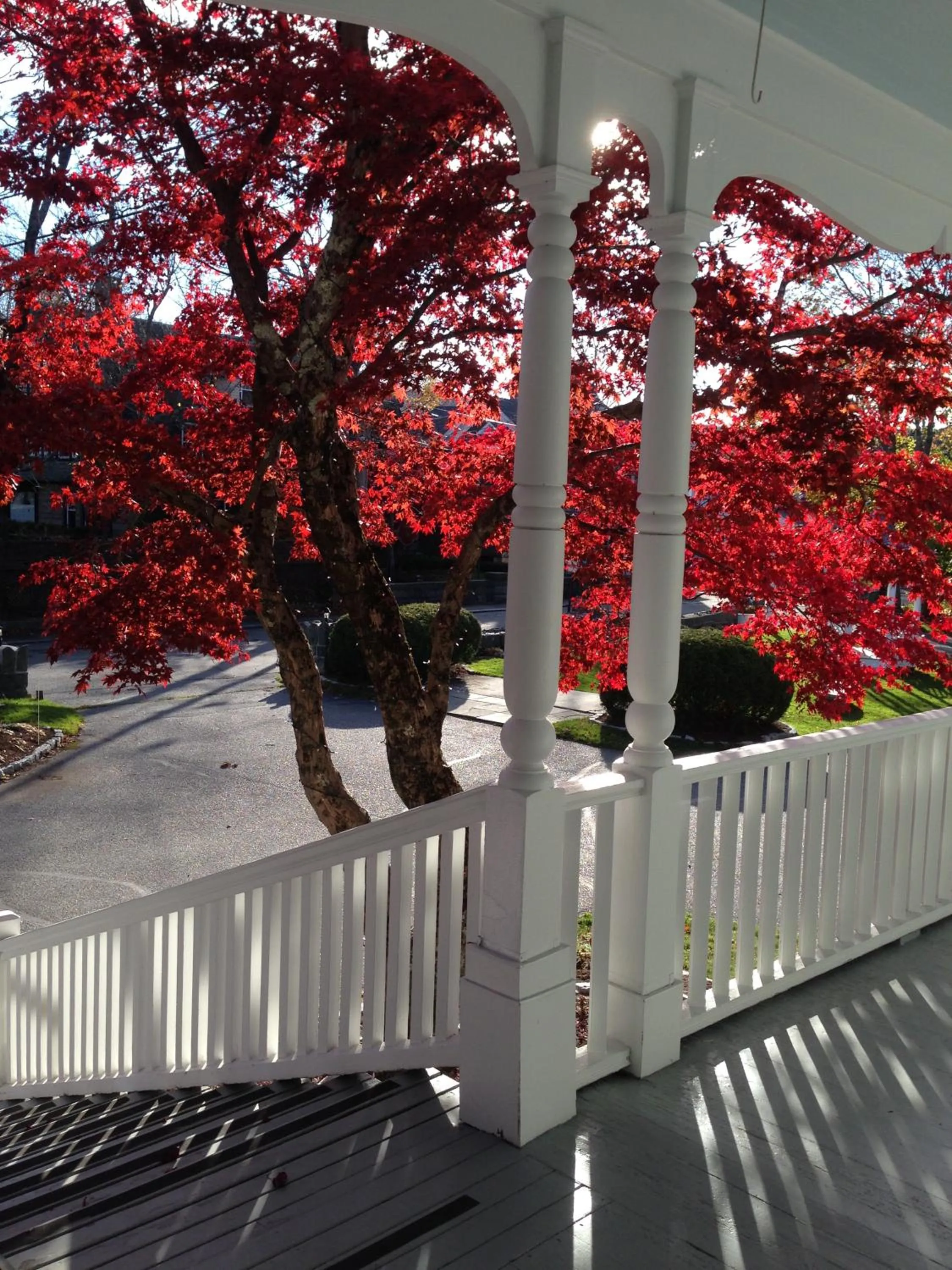 Garden view in Moseley Cottage Inn and The Town Motel
