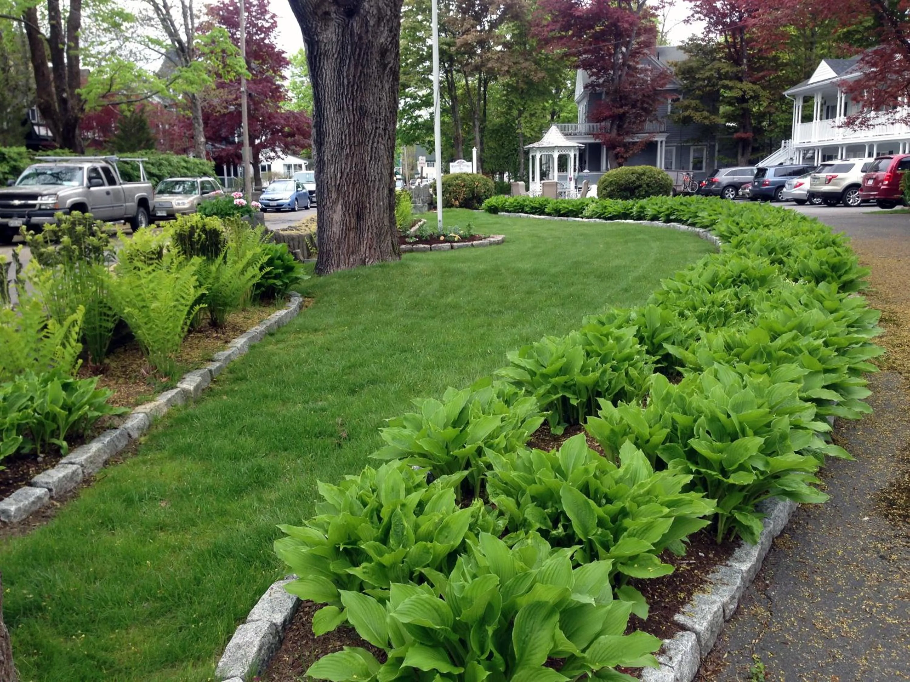 Garden in Moseley Cottage Inn and The Town Motel