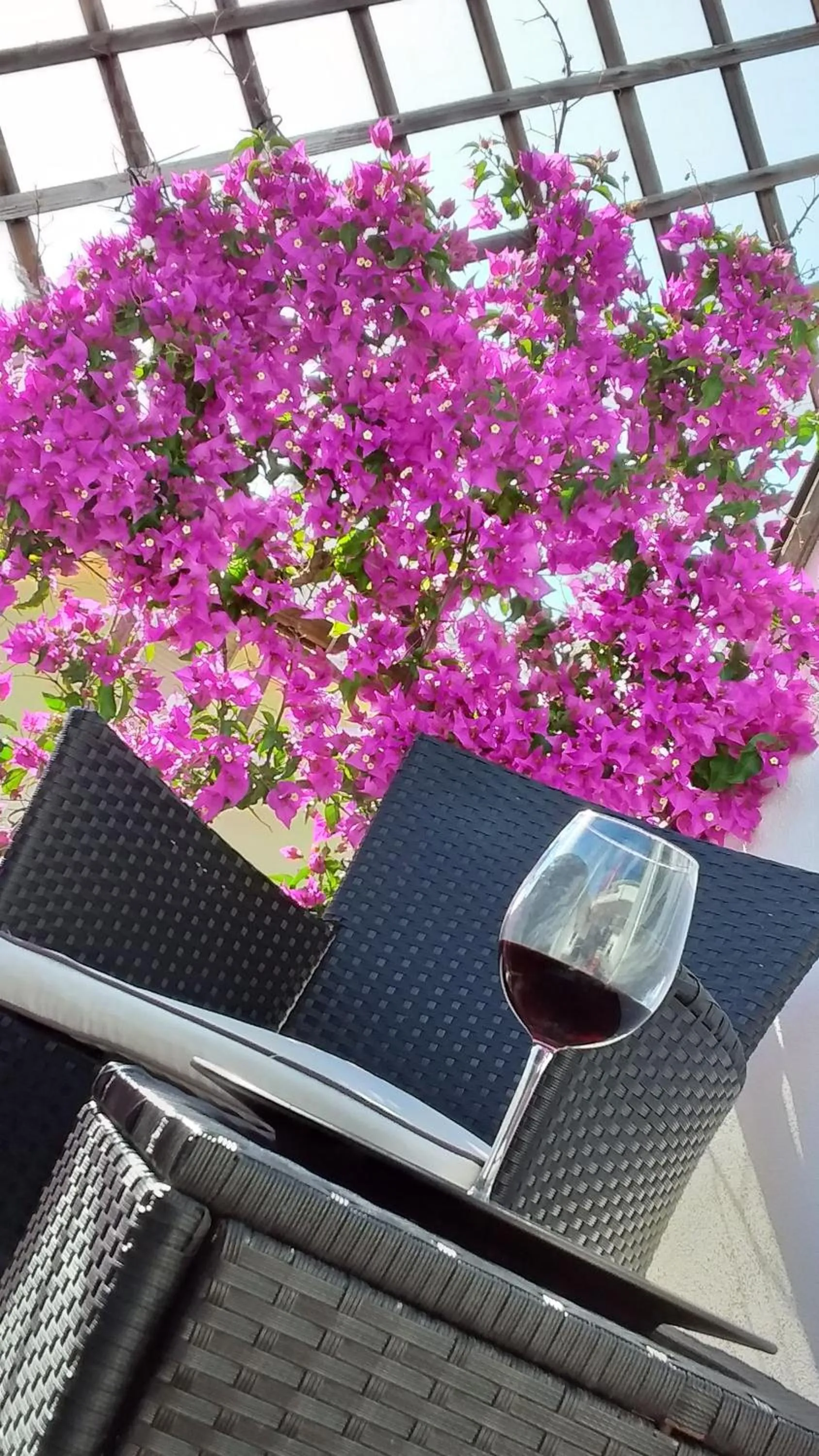 Balcony/Terrace in Maison Margherita