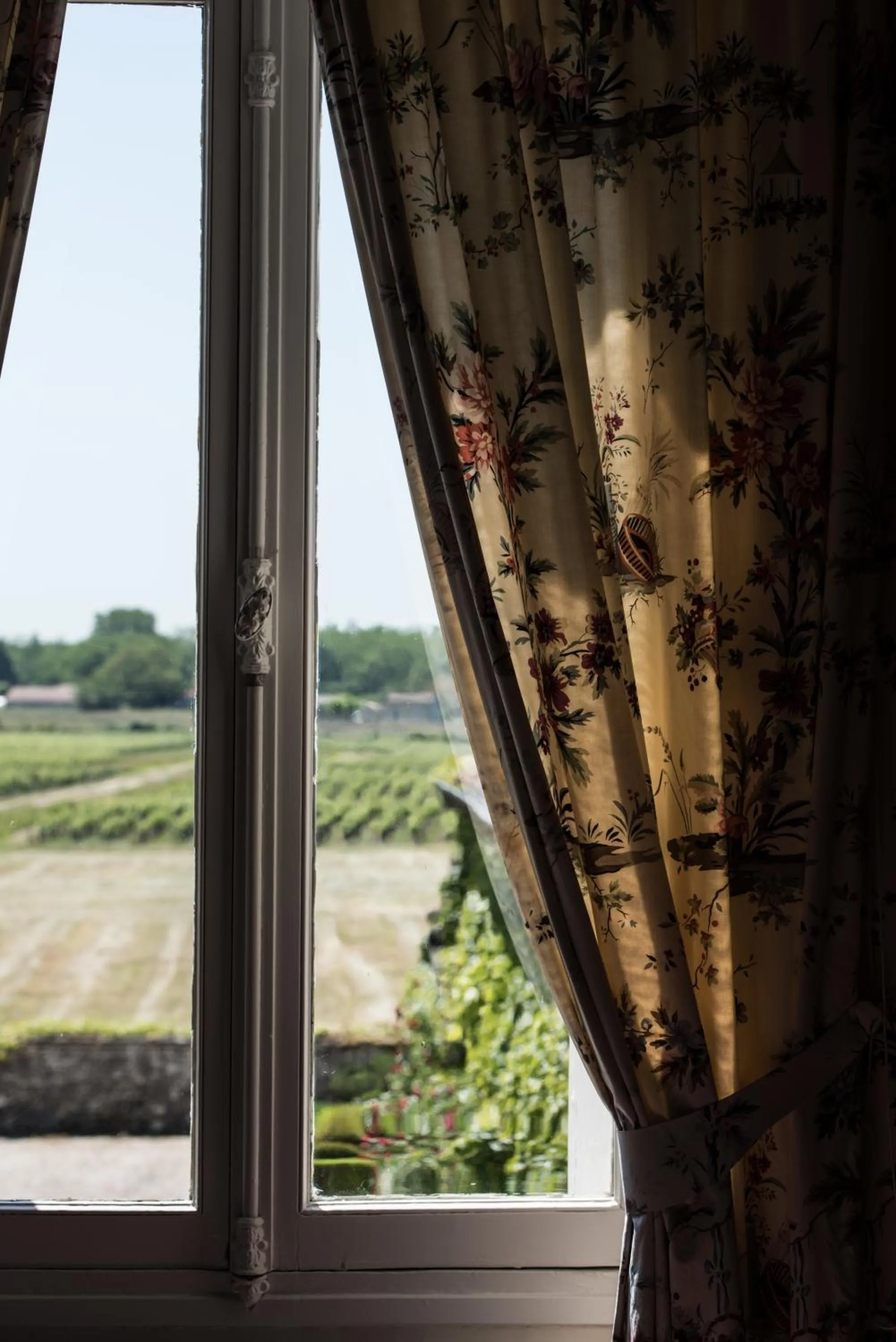 Garden view in Château Meyre