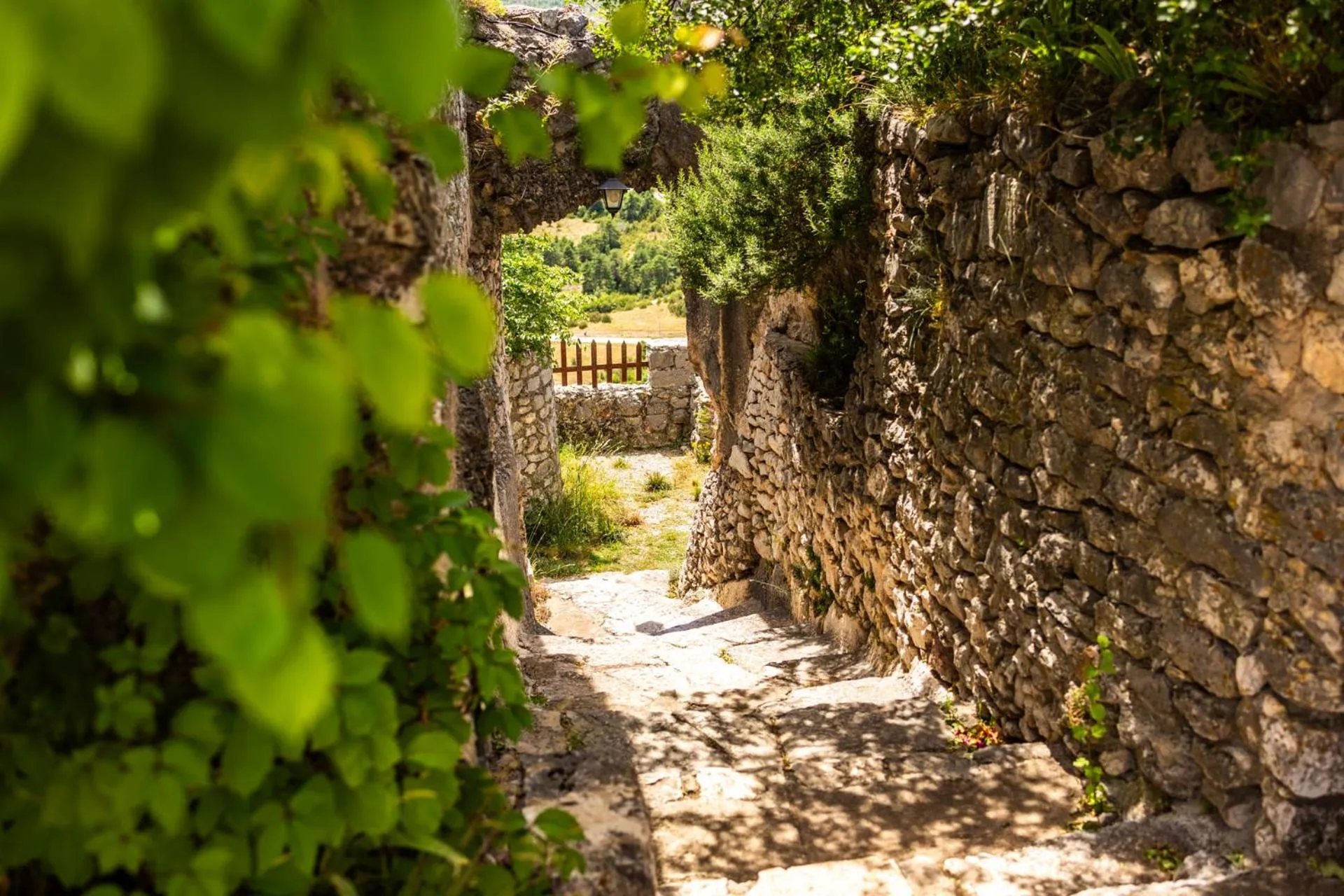 Garden in Château de Trigance