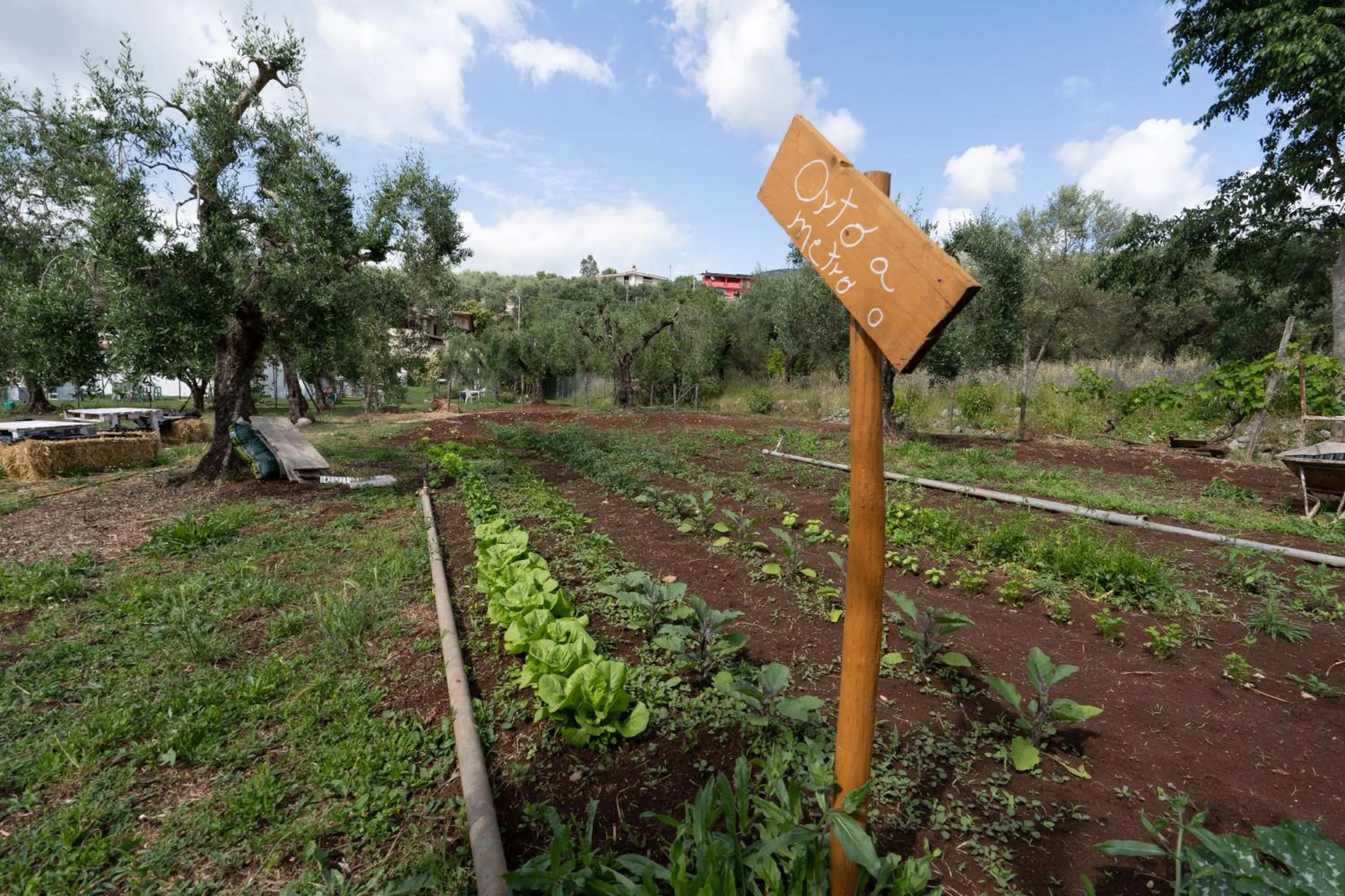 Natural landscape in Agriturismo Country Casale Rufo