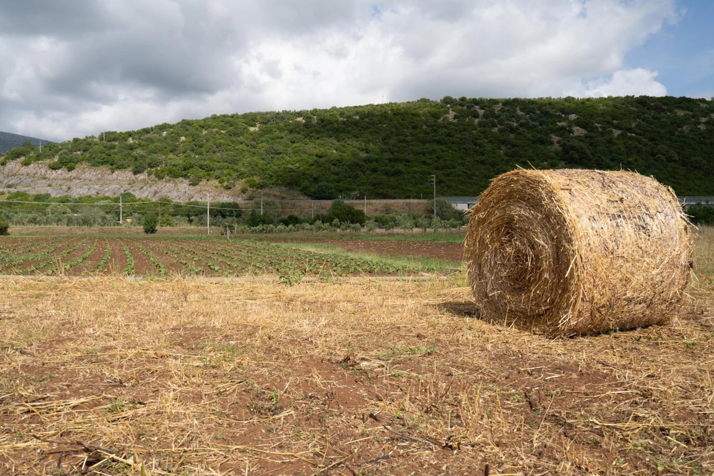 Natural landscape in Agriturismo Country Casale Rufo