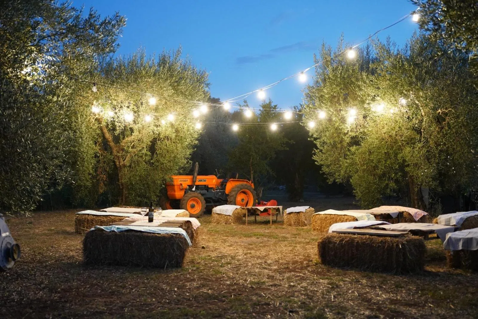 Natural landscape in Agriturismo Country Casale Rufo