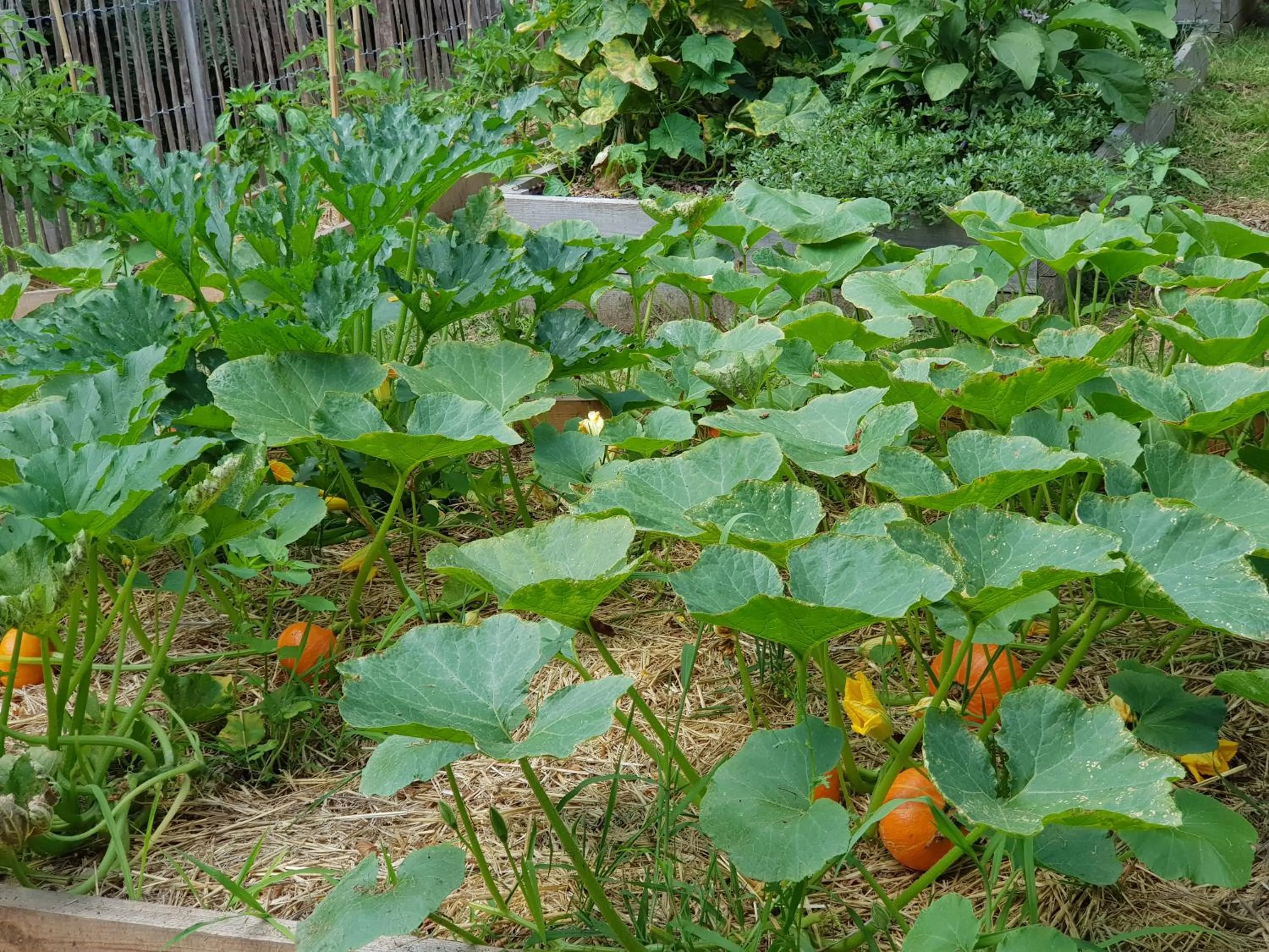 Garden in Château de Lalande - Teritoria - Périgueux