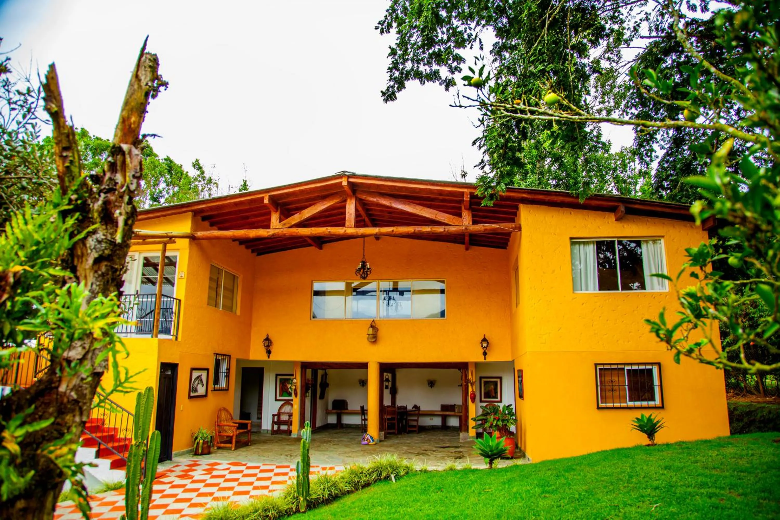 View (from property/room) in Finca Hotel La Ponderosa