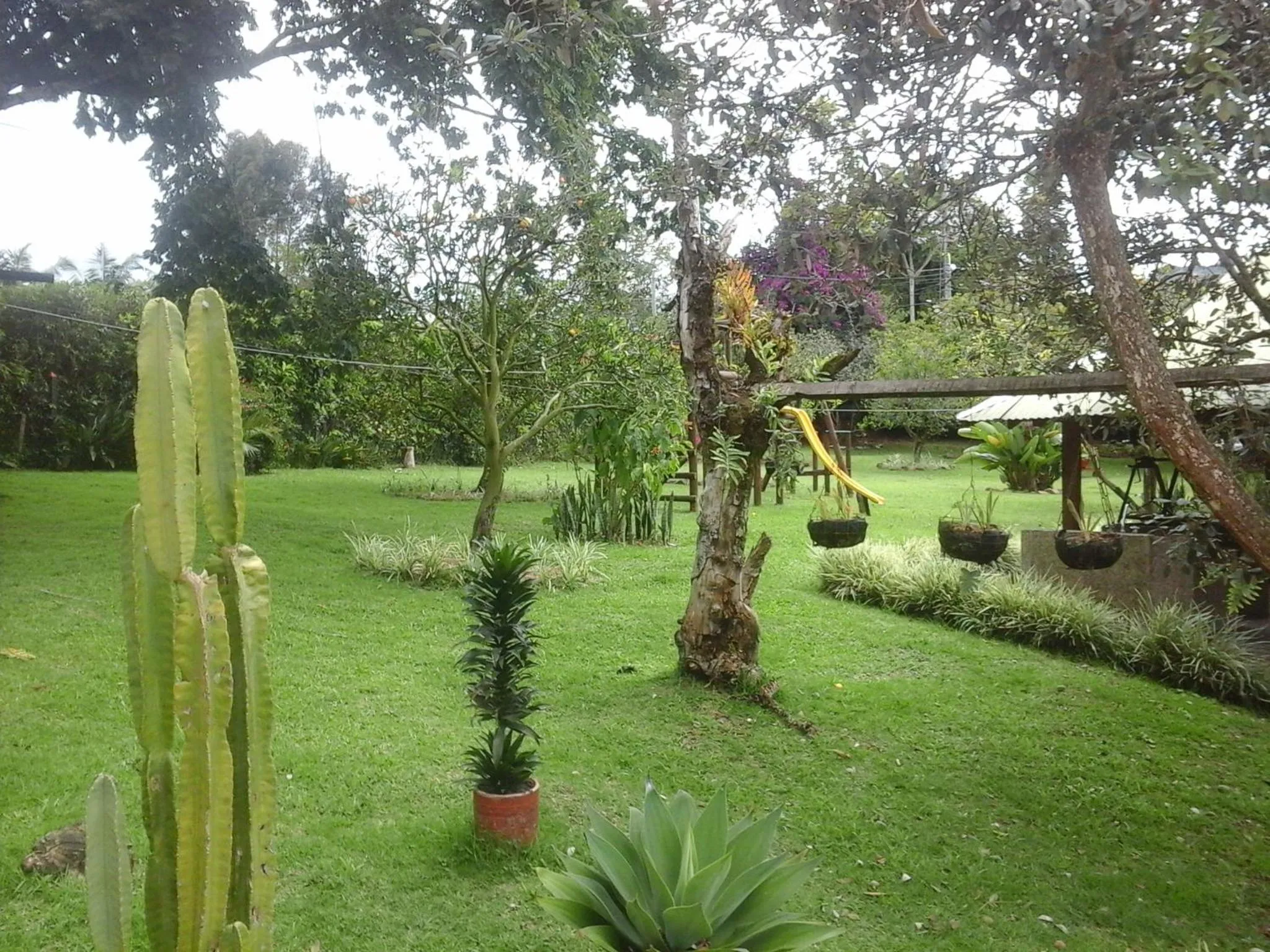 Garden in Finca Hotel La Ponderosa