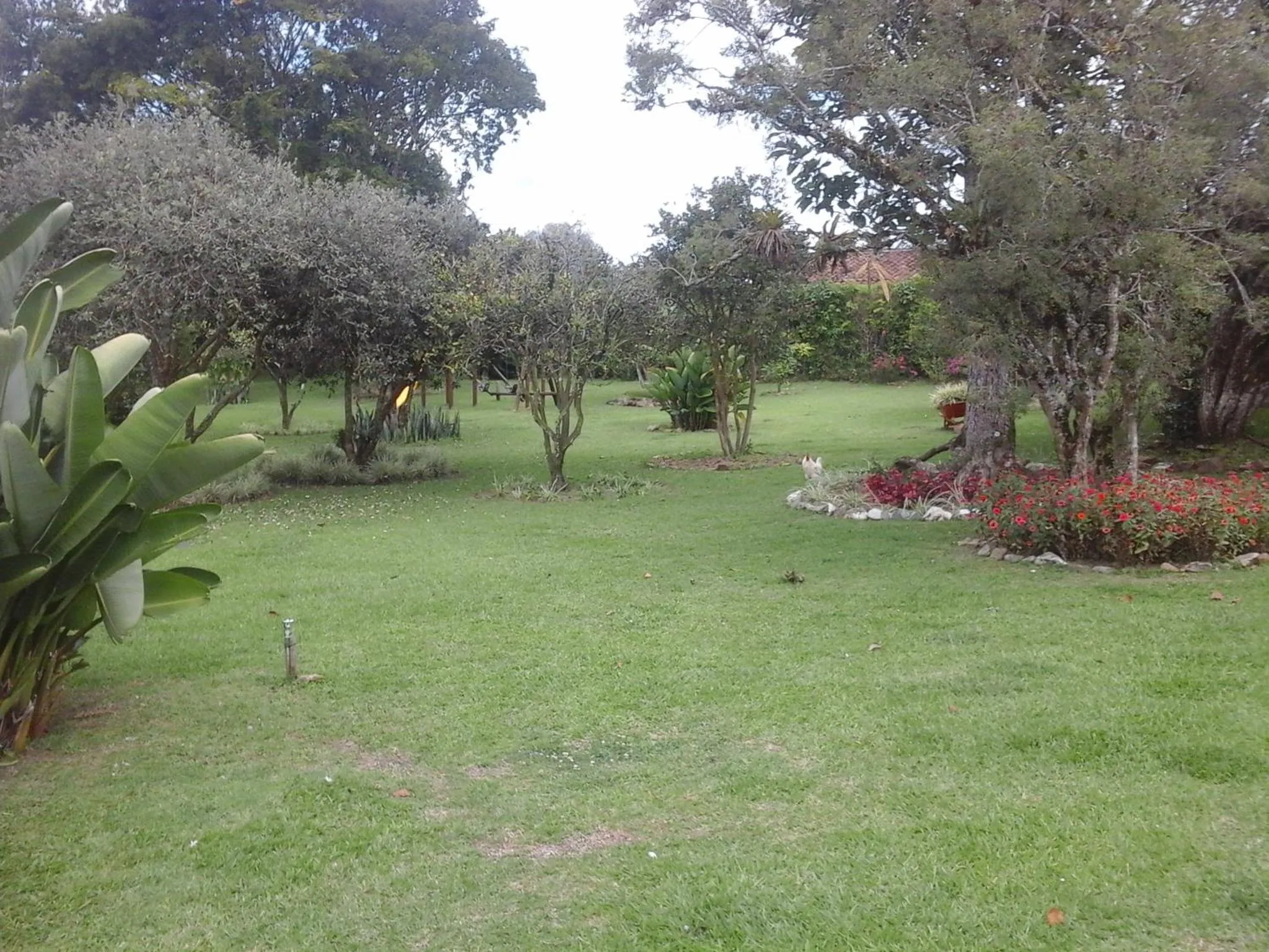 Garden in Finca Hotel La Ponderosa