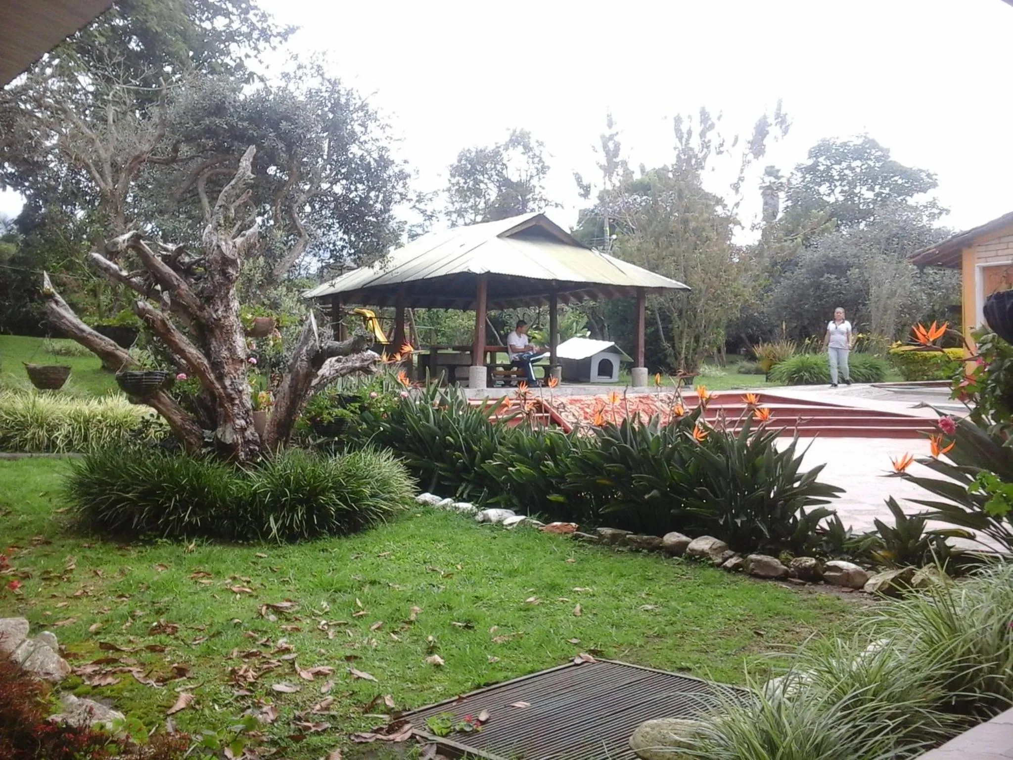 BBQ facilities in Finca Hotel La Ponderosa