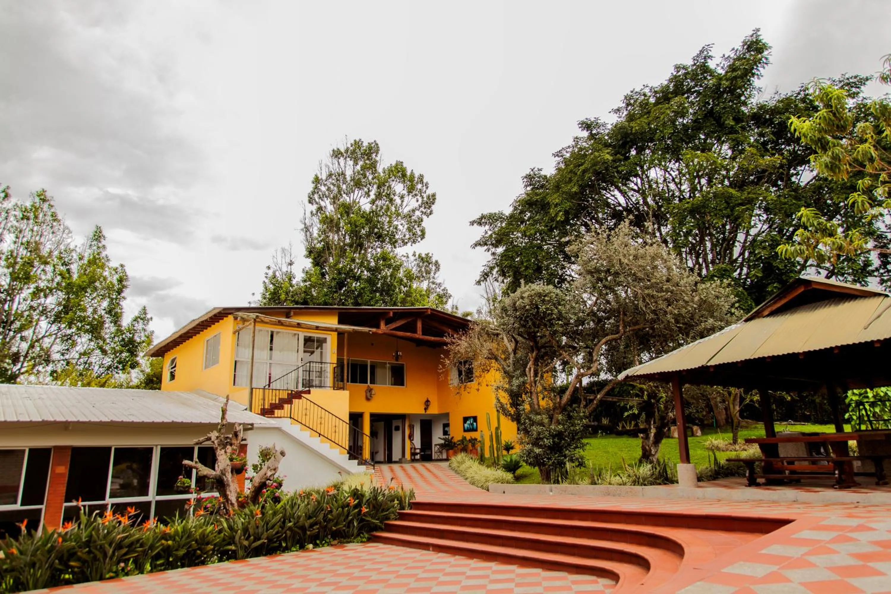 View (from property/room) in Finca Hotel La Ponderosa